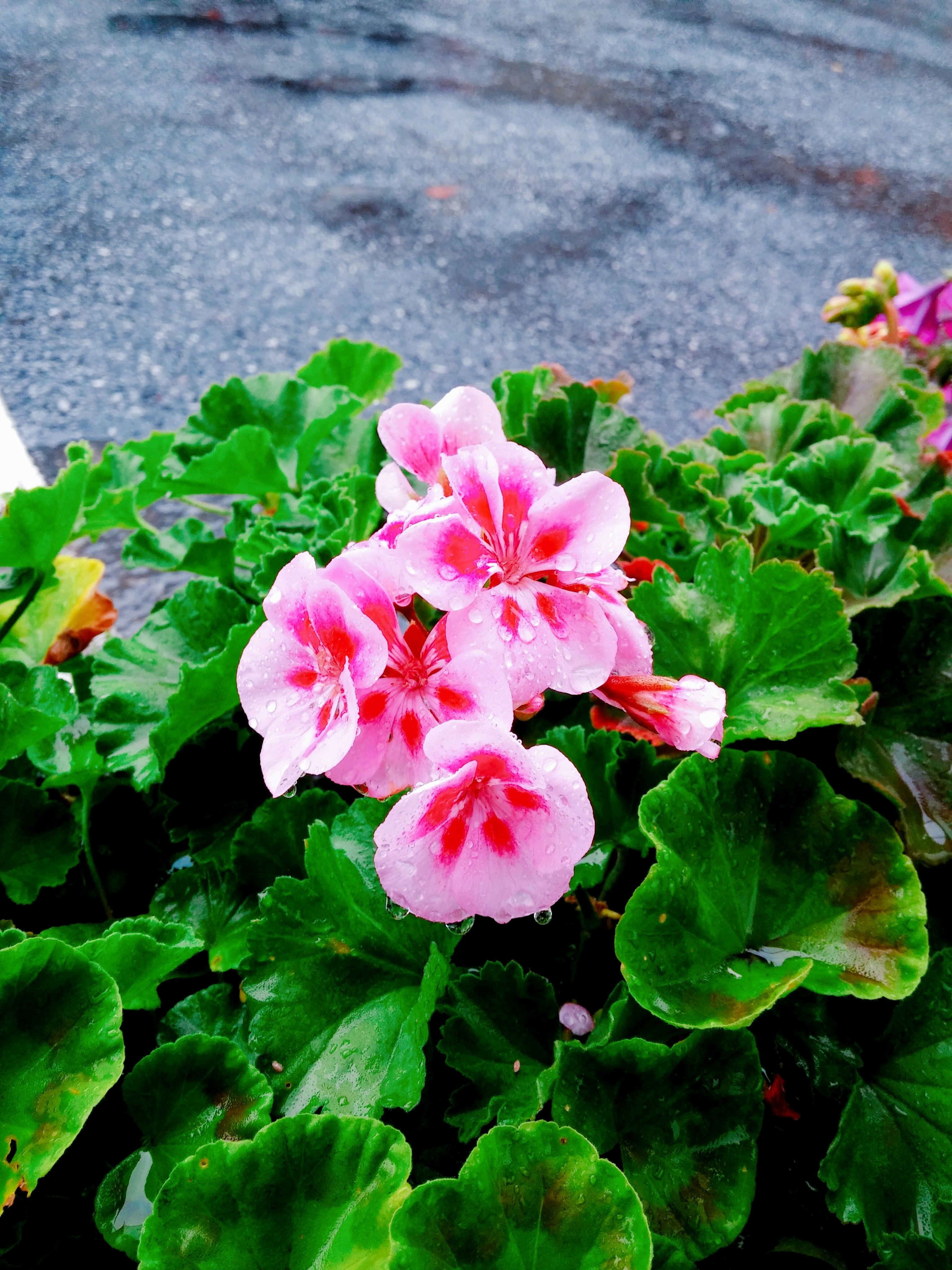 Free Unsplash photo from Jinho Lee