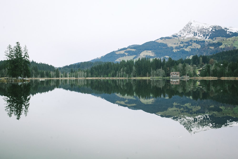 Foto de paisaje de un lago junto a los árboles