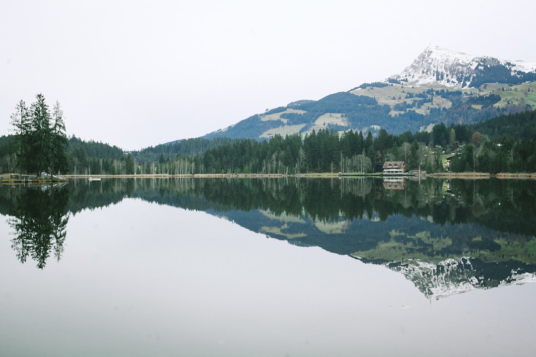 Forest photo spot Schwarzsee Austria