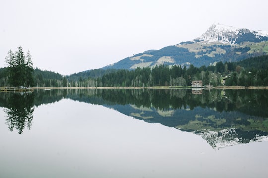 landscape photo of a lake beside trees in Schwarzsee Austria