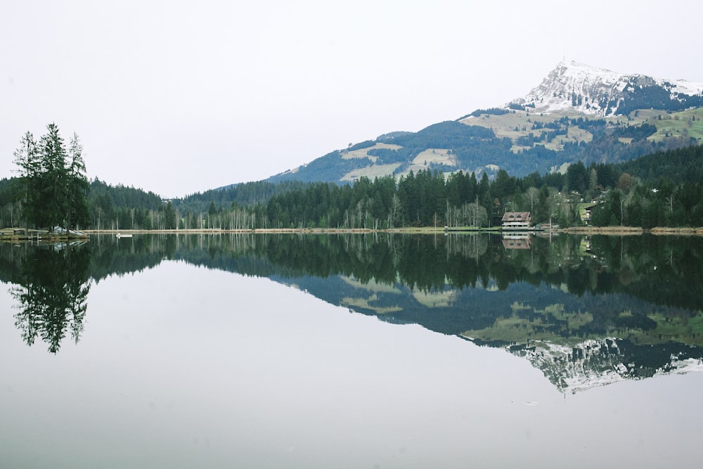foto di paesaggio di un lago accanto agli alberi