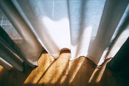 Sunlight casting shadows on a clean white wall, evoking calm and possibilities