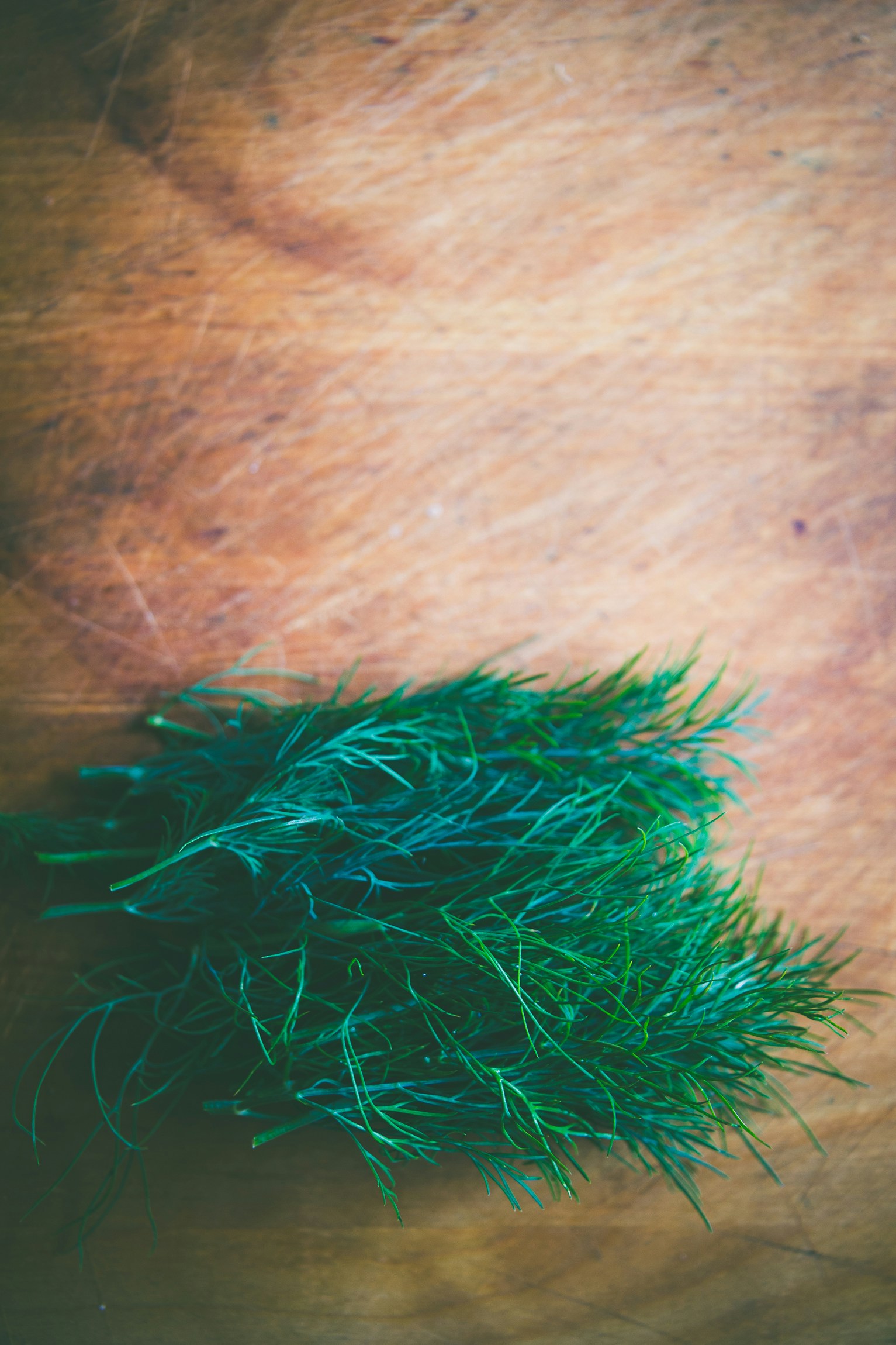 Free Unsplash photo from Aliis Sinisalu