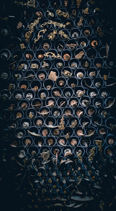 assorted-color scrolls on rack