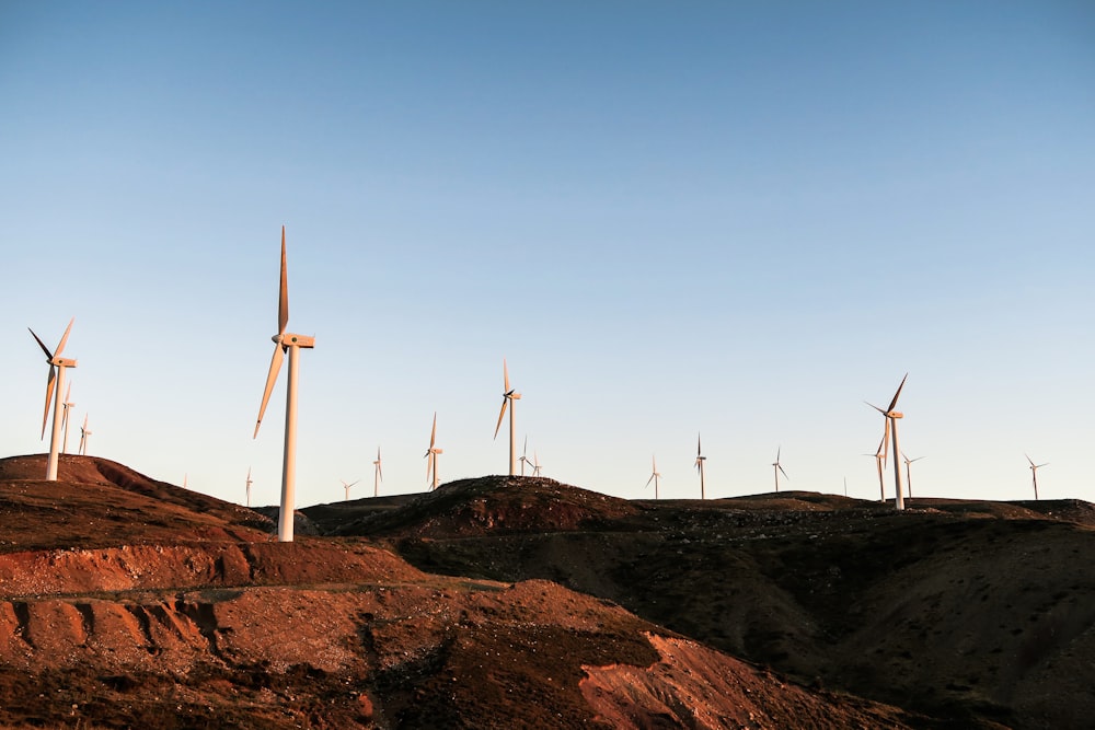 Weiße Windräder tagsüber