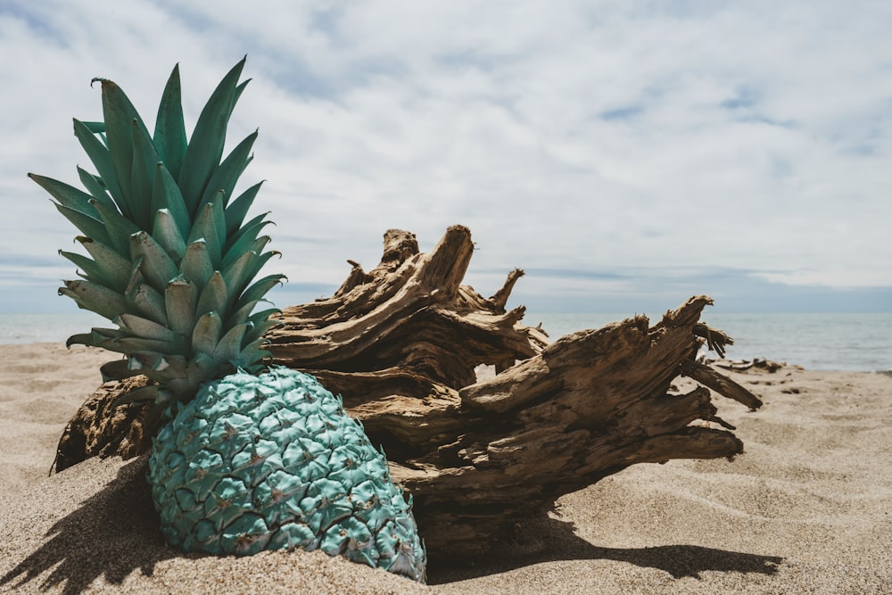 Una piña sentada en la cima de una playa de arena