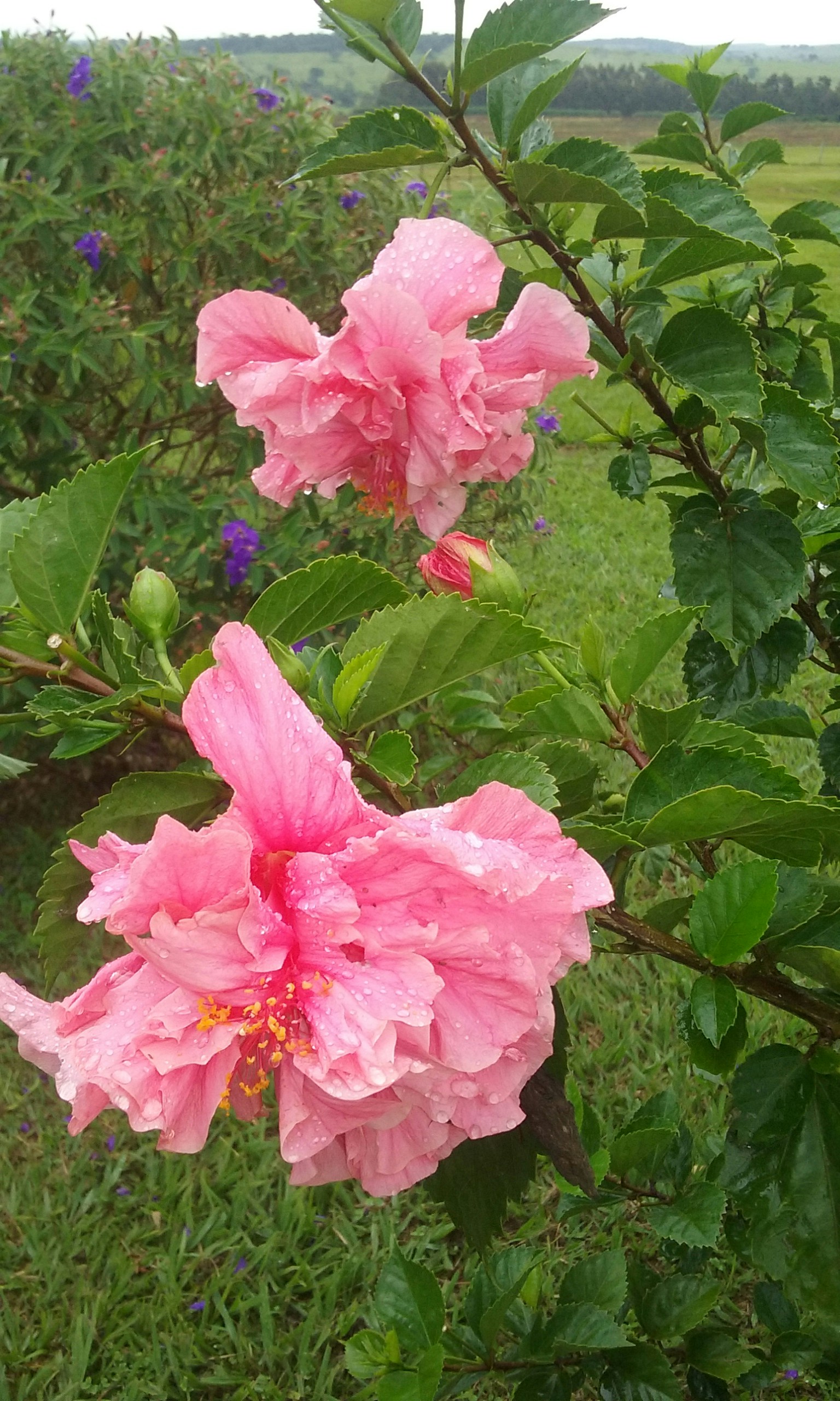 Free Unsplash photo from Jooh Carol