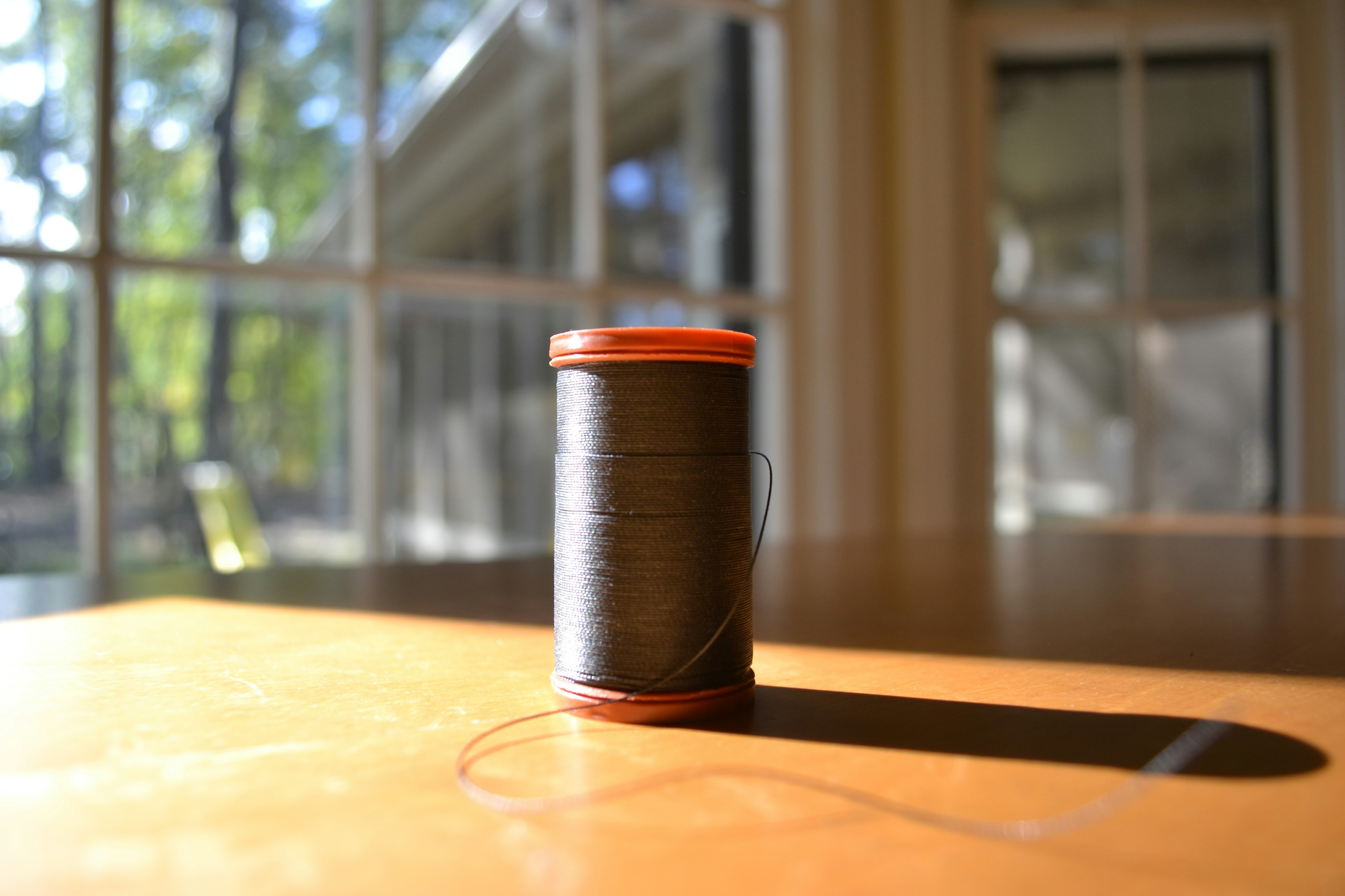 Free Unsplash photo from Nathan Goller-Deitsch