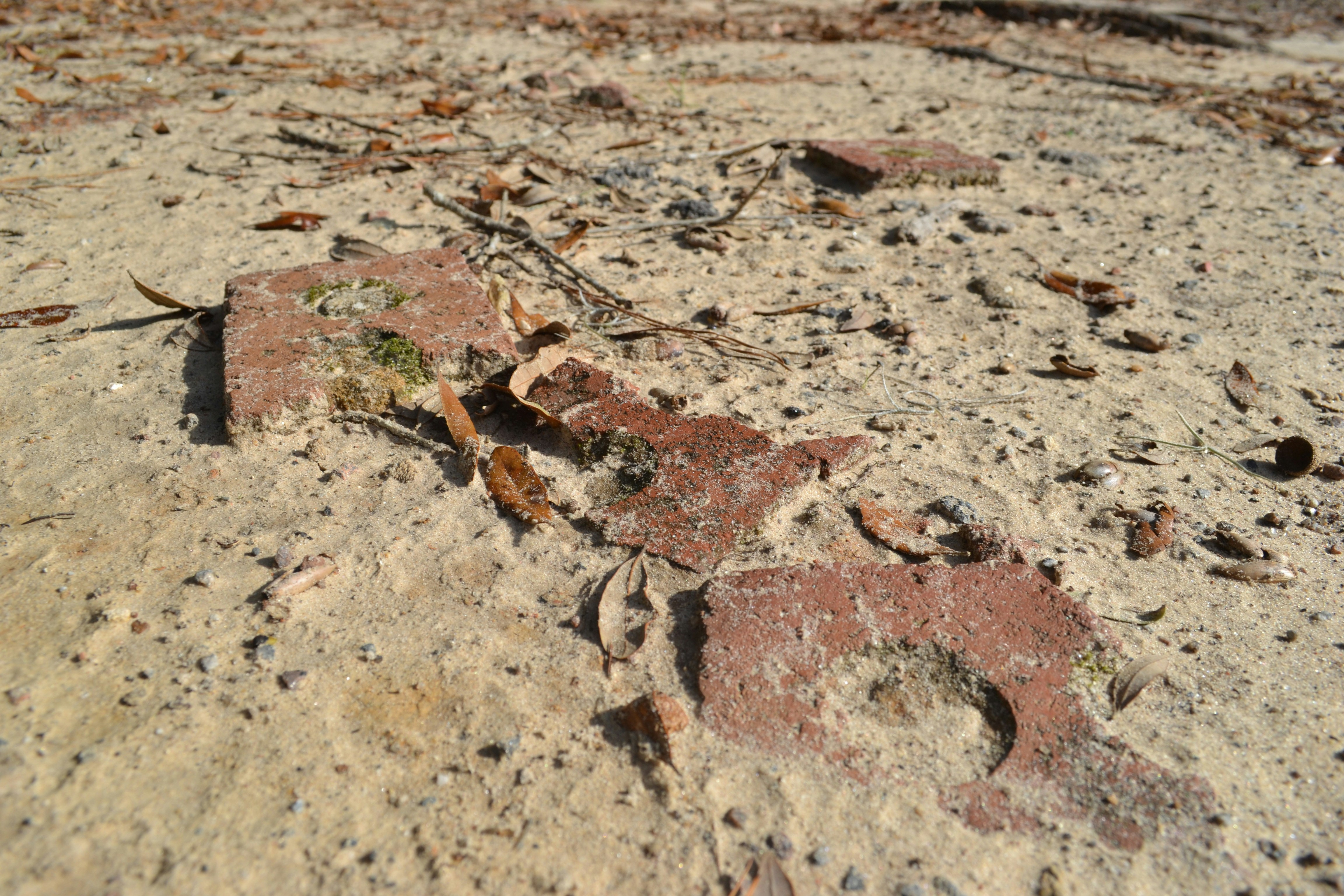 Free Unsplash photo from Nathan Goller-Deitsch