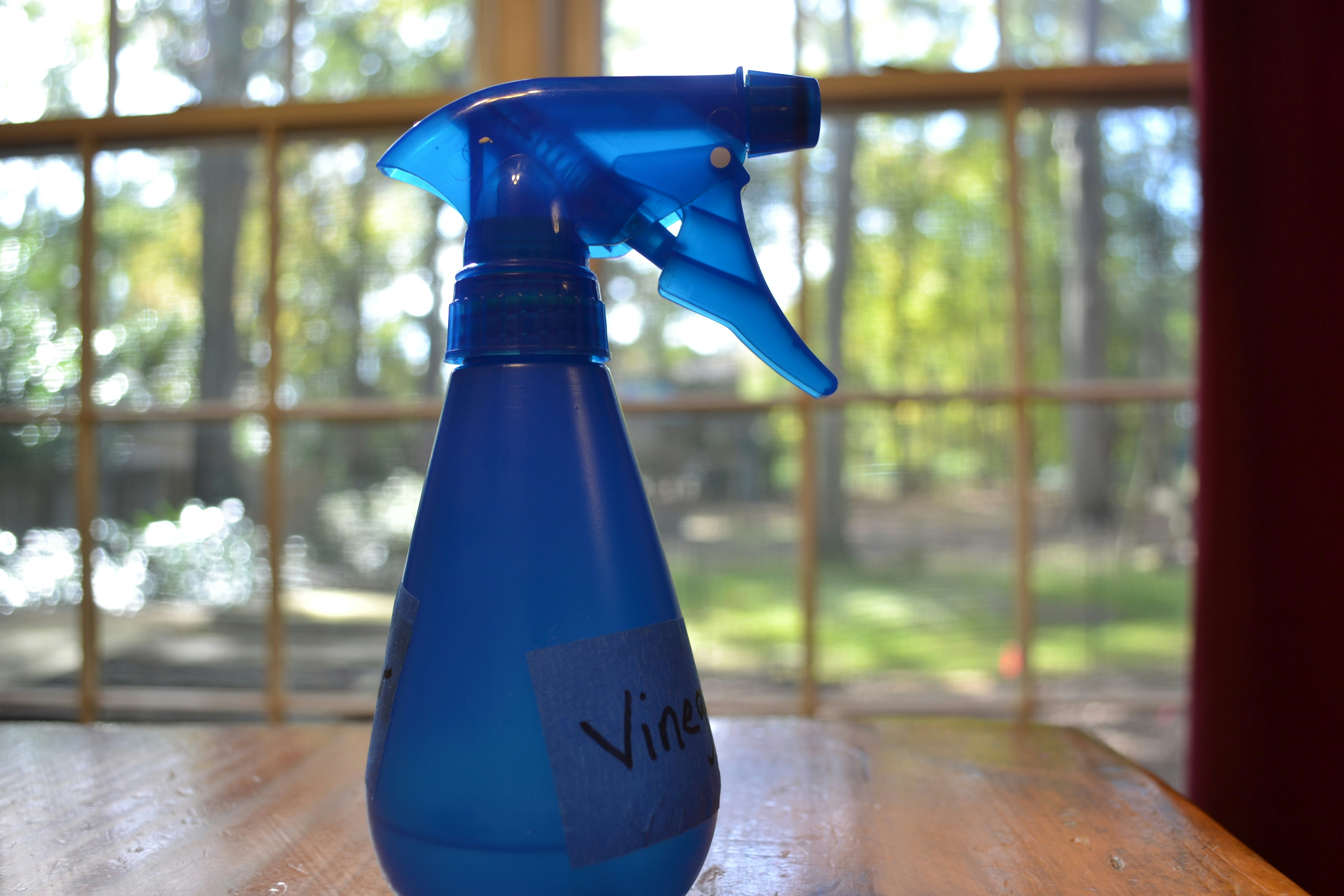 Free Unsplash photo from Nathan Goller-Deitsch