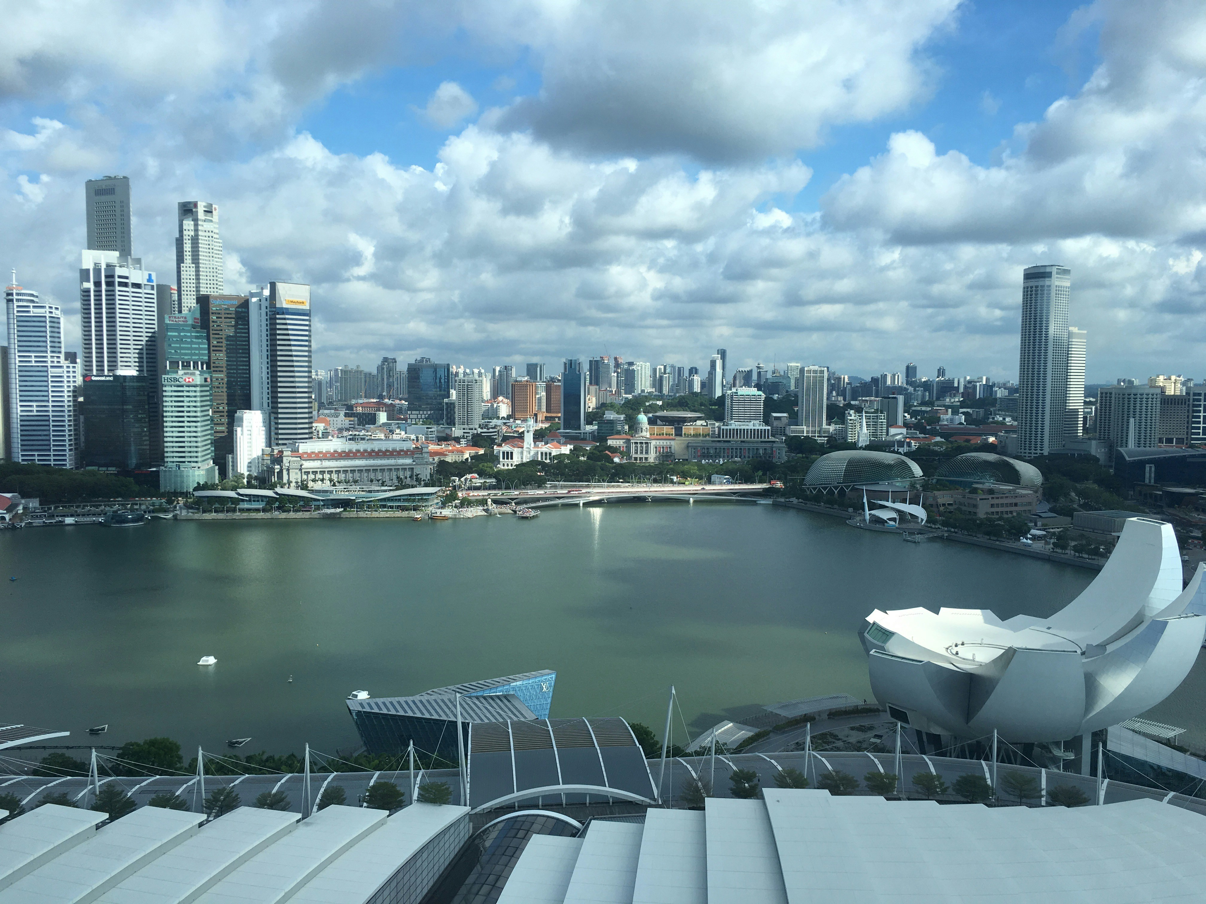 Free Unsplash photo from Martin Zhang