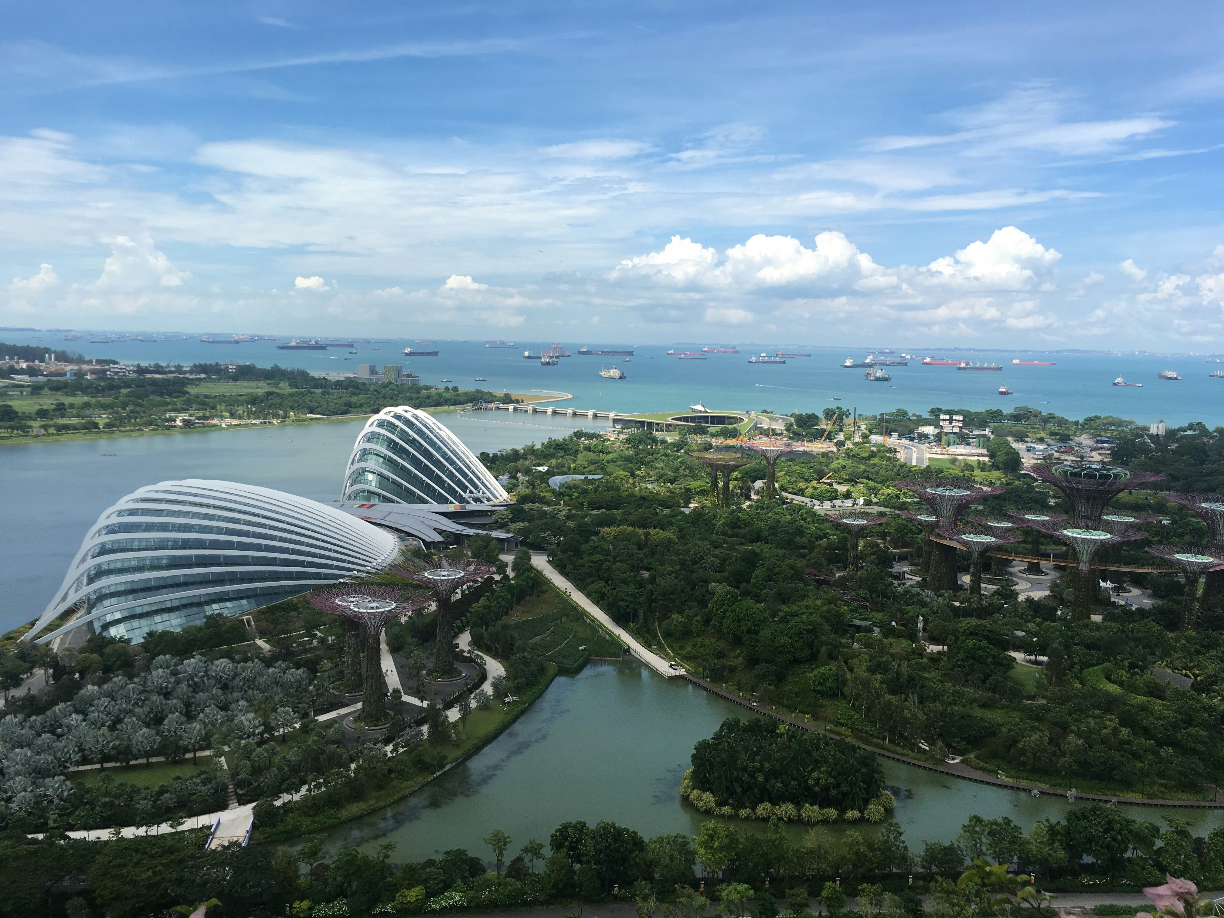 Free Unsplash photo from Martin Zhang