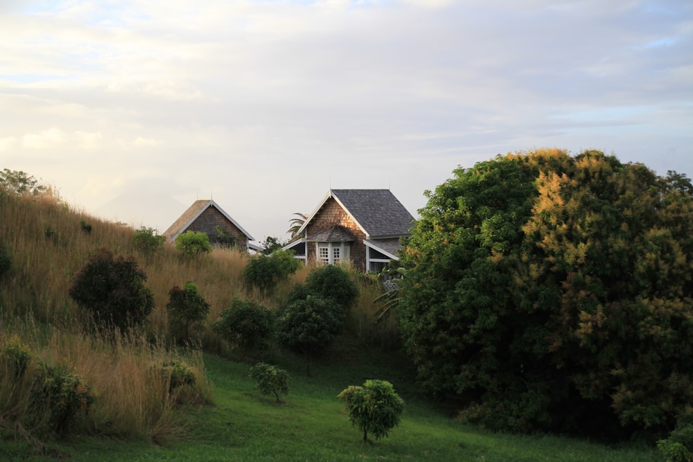 house near trees and greenfield