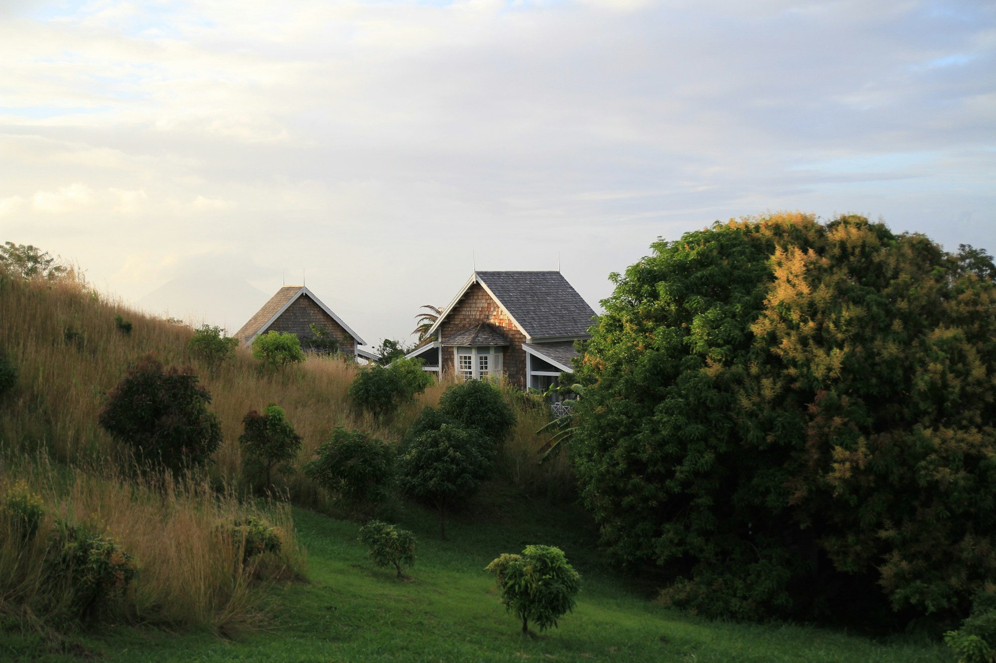 Discover Saint Kitts and Nevis: Essential Travel Guide
