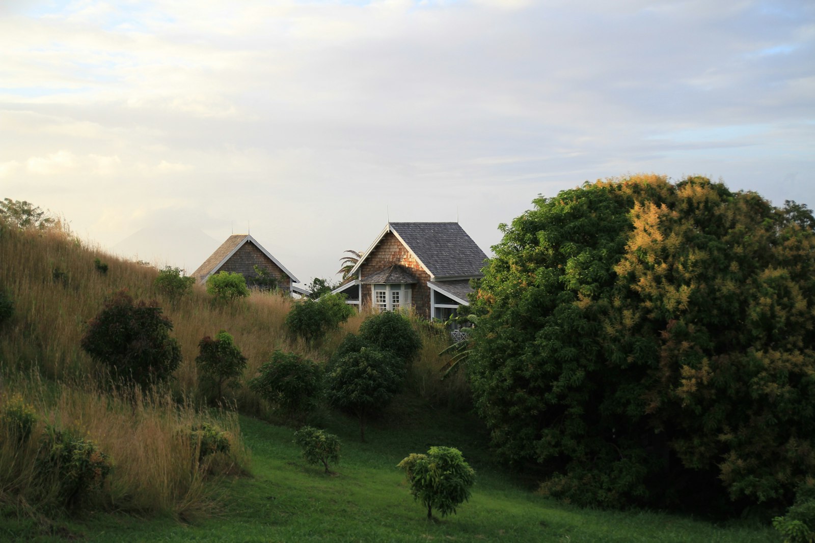 Canon TAMRON SP 17-50mm f/2.8 Di II VC B005 sample photo. House near trees and photography