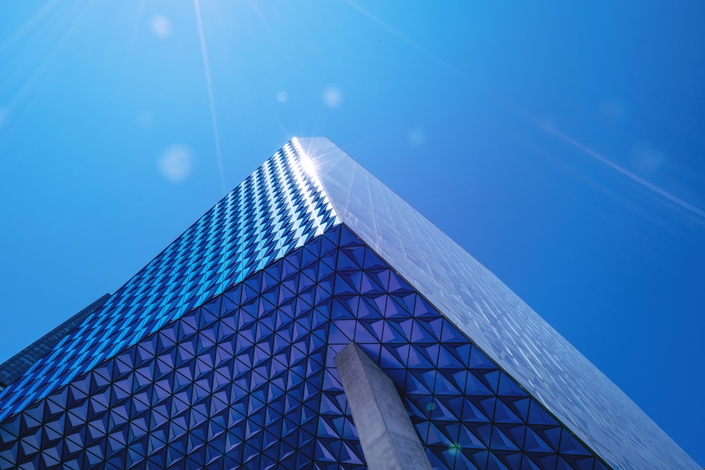 curtain-wall high rise building under blue sky