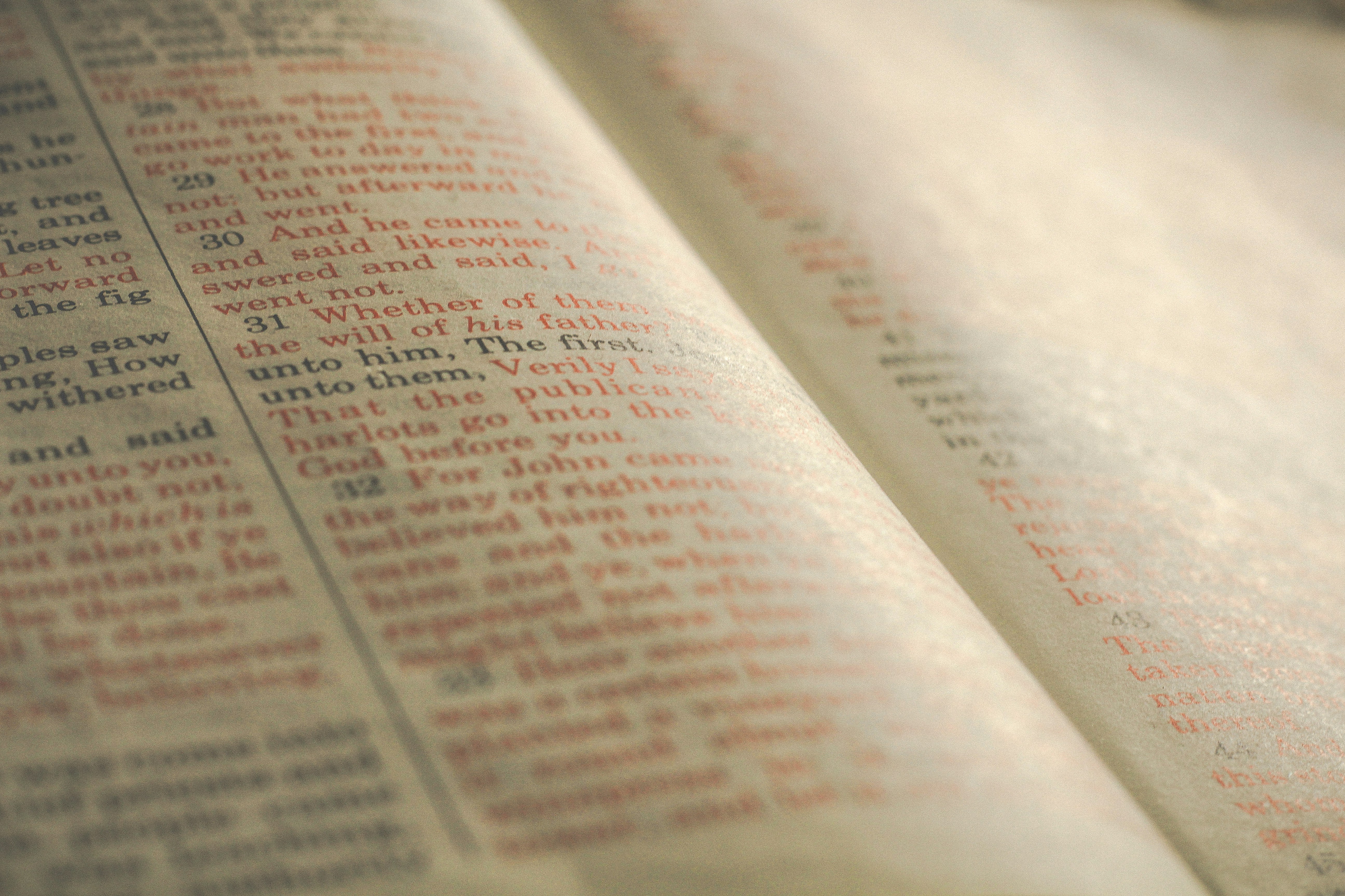 Free Unsplash photo from Mike Setchell