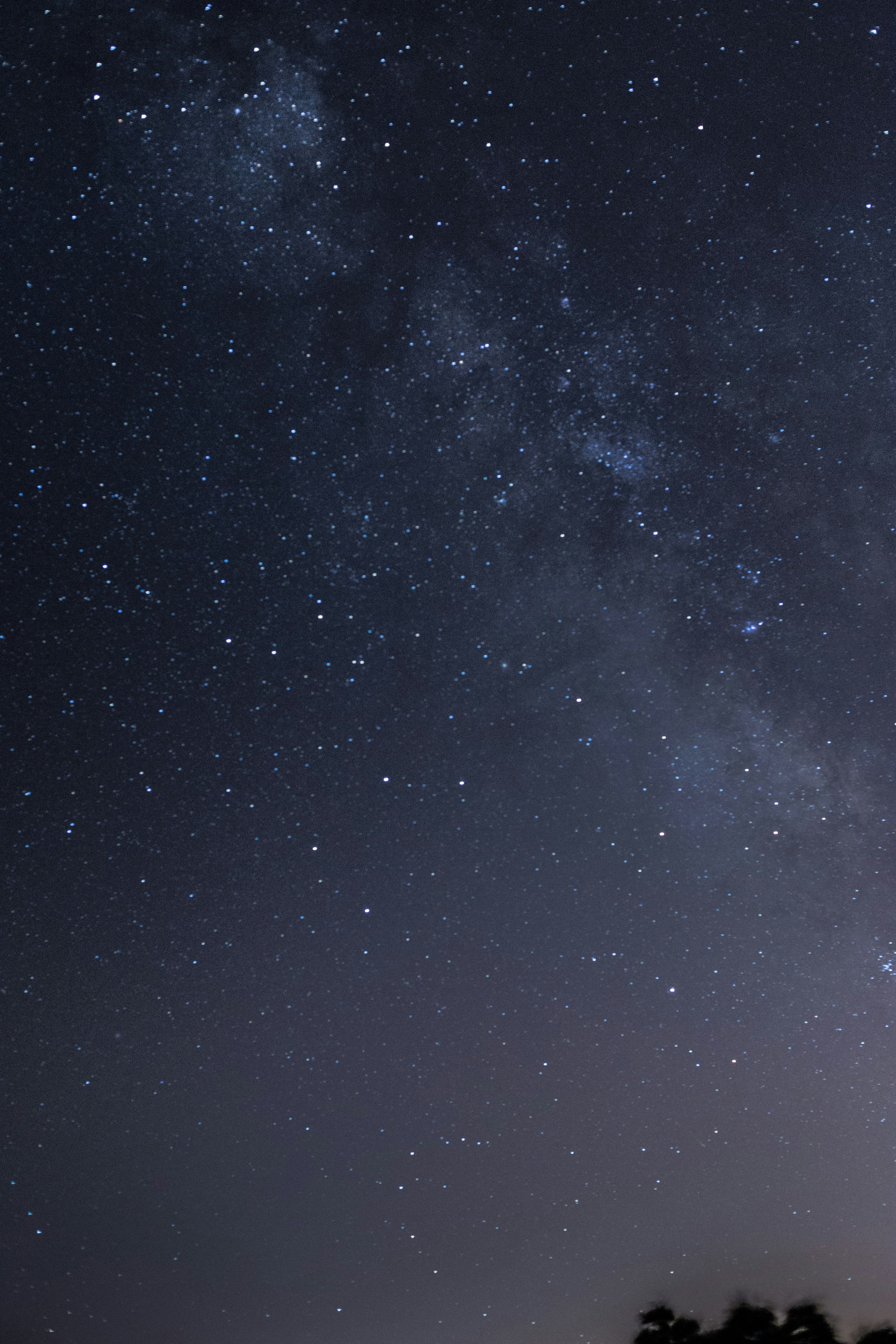 Free Unsplash photo from Antonio Ron