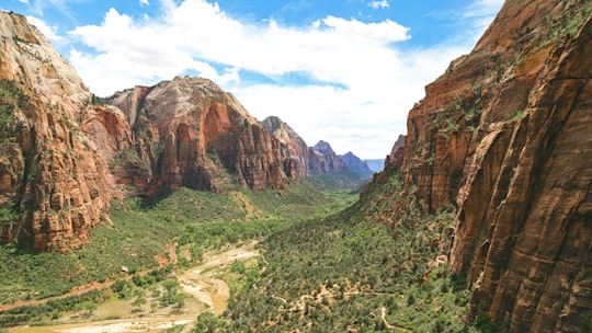 green plants and trees between brown cliff during daytime in Zion National Park United States