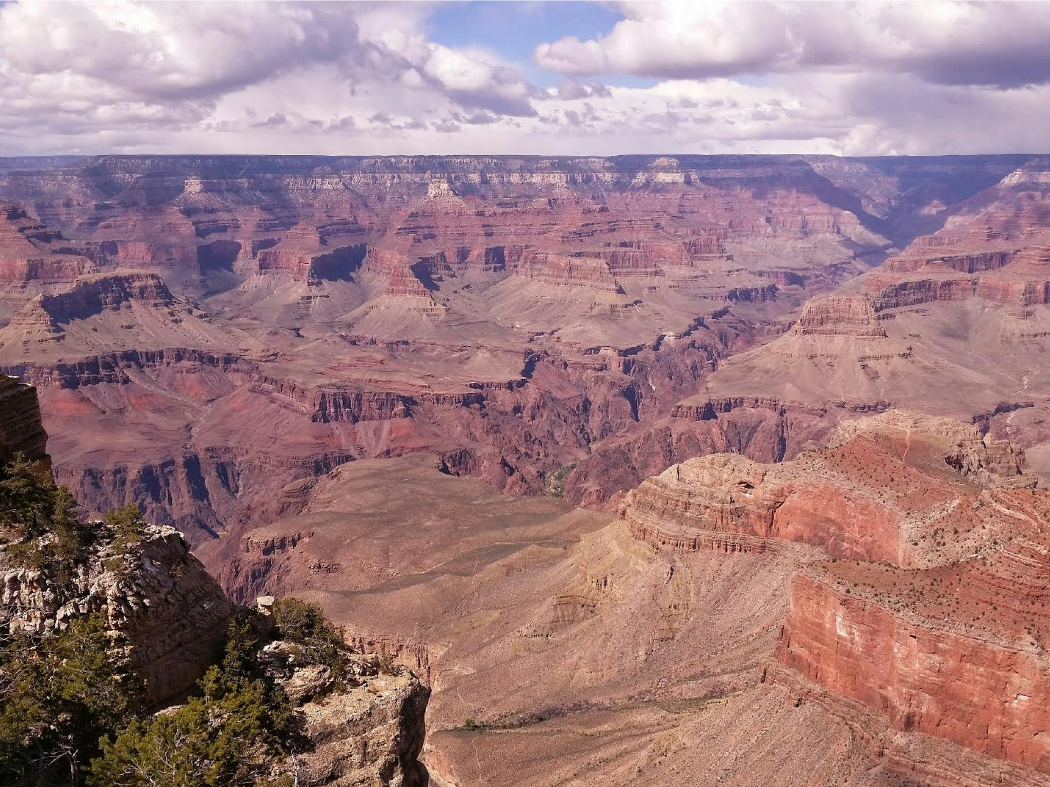 Free Unsplash photo from Sydney Wippman