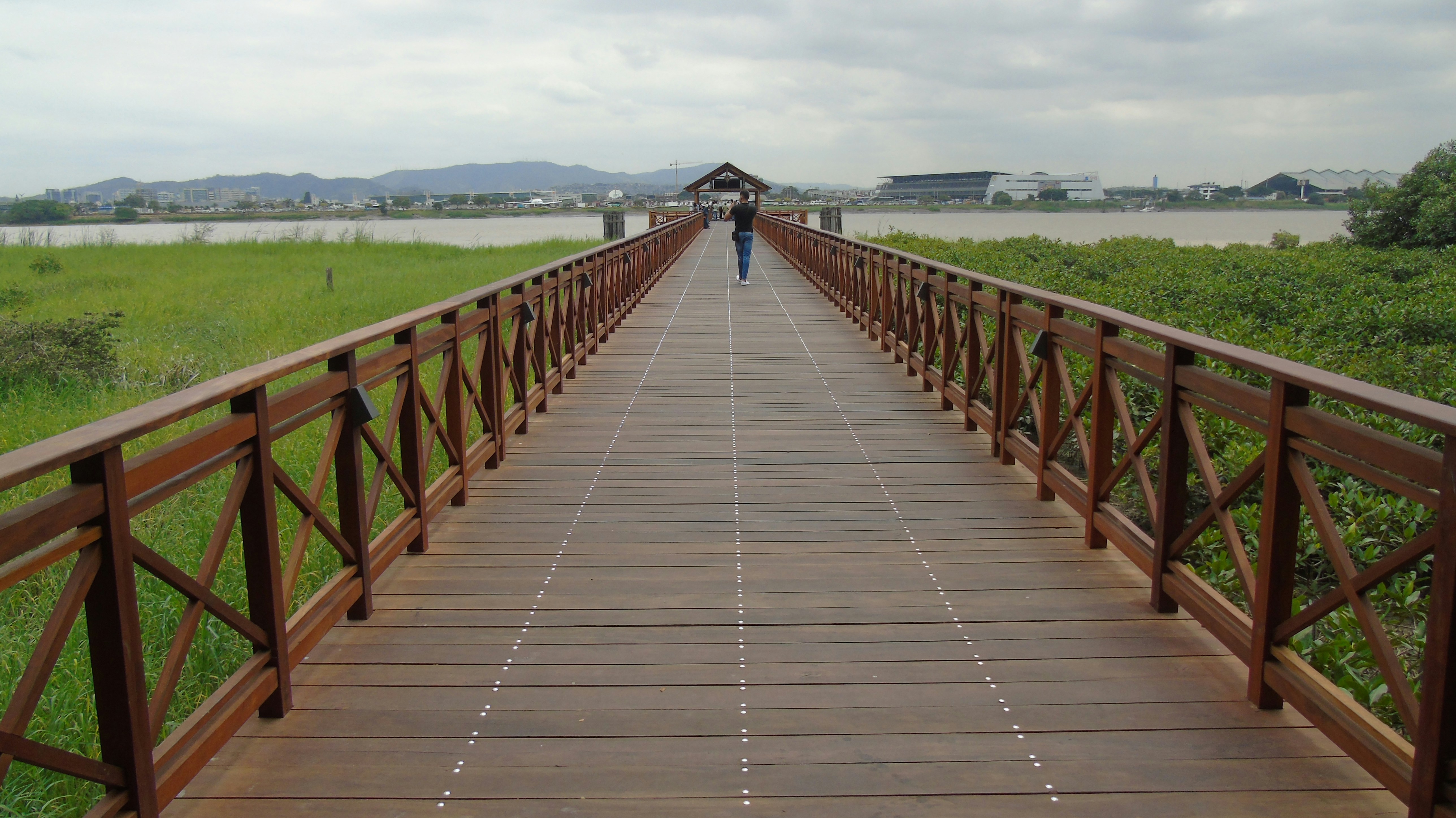 Free Unsplash photo from Camilo Salamanca Buitrago