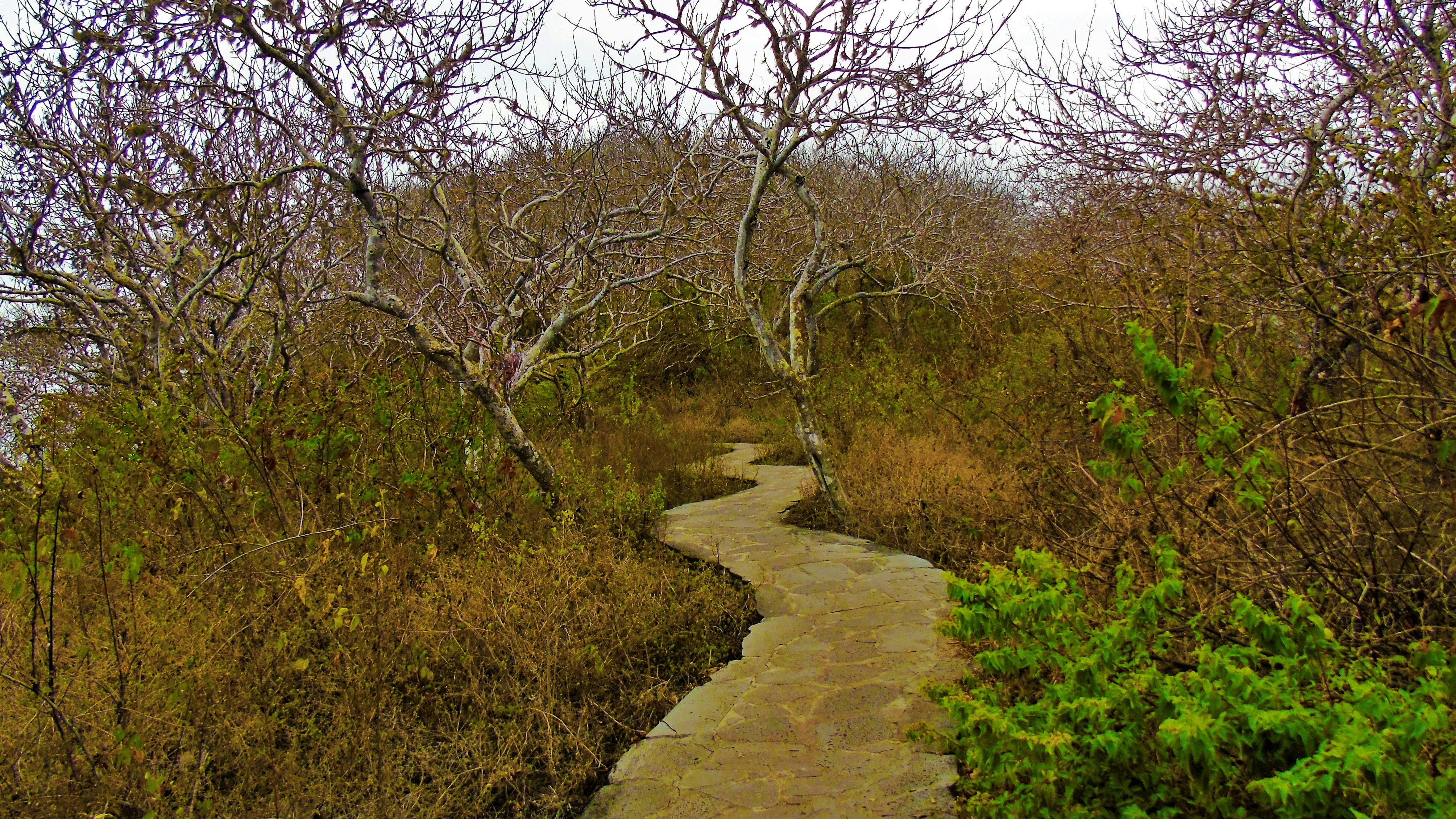 Free Unsplash photo from Camilo Salamanca Buitrago