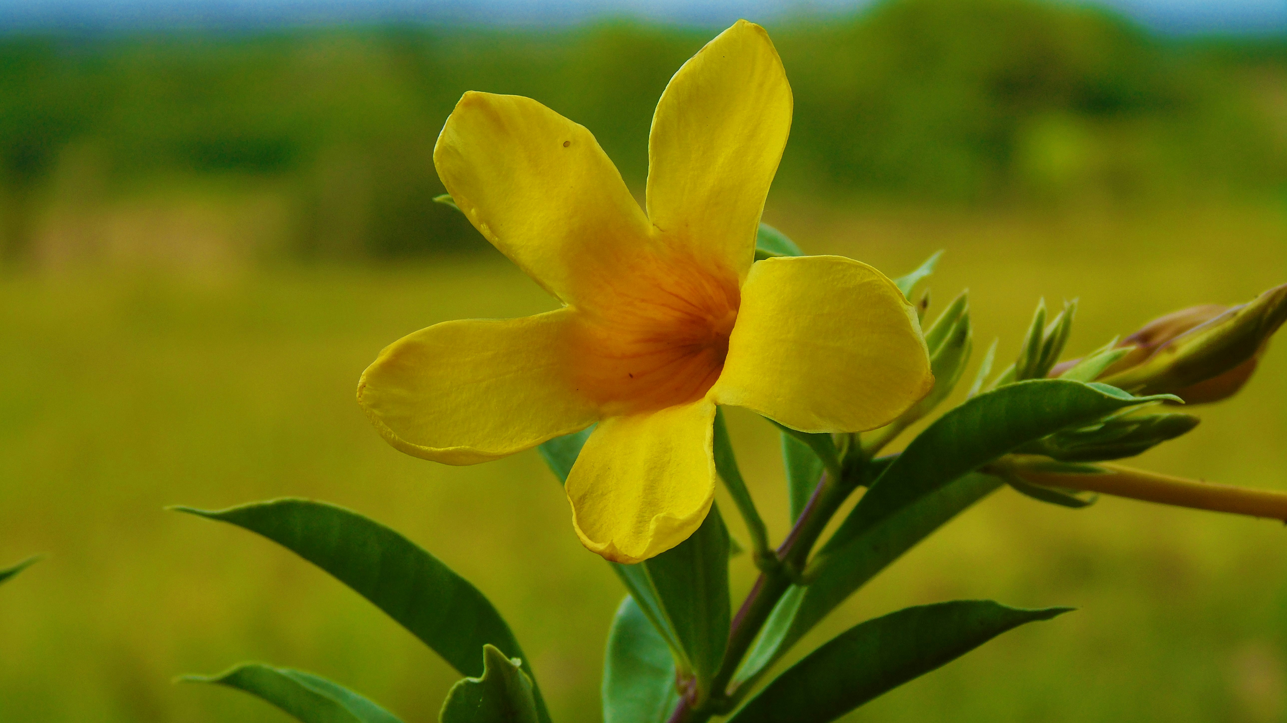 Free Unsplash photo from Camilo Salamanca Buitrago