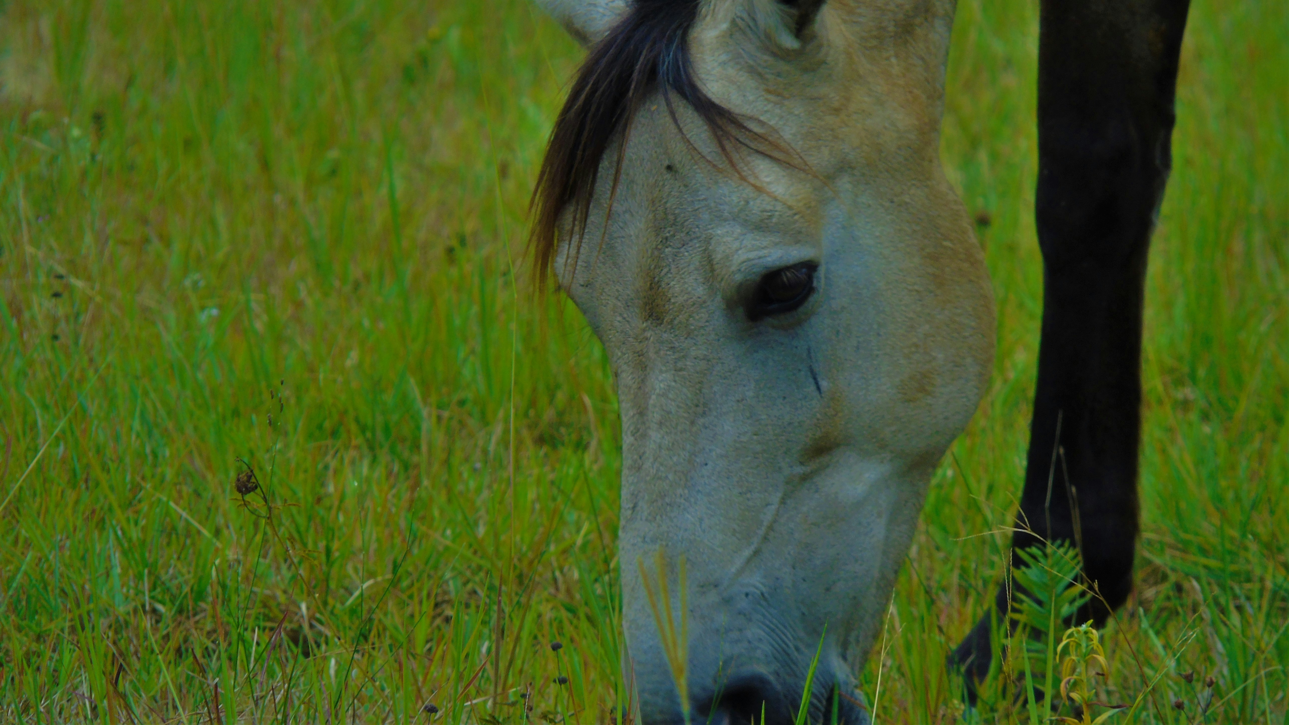 Free Unsplash photo from Camilo Salamanca Buitrago