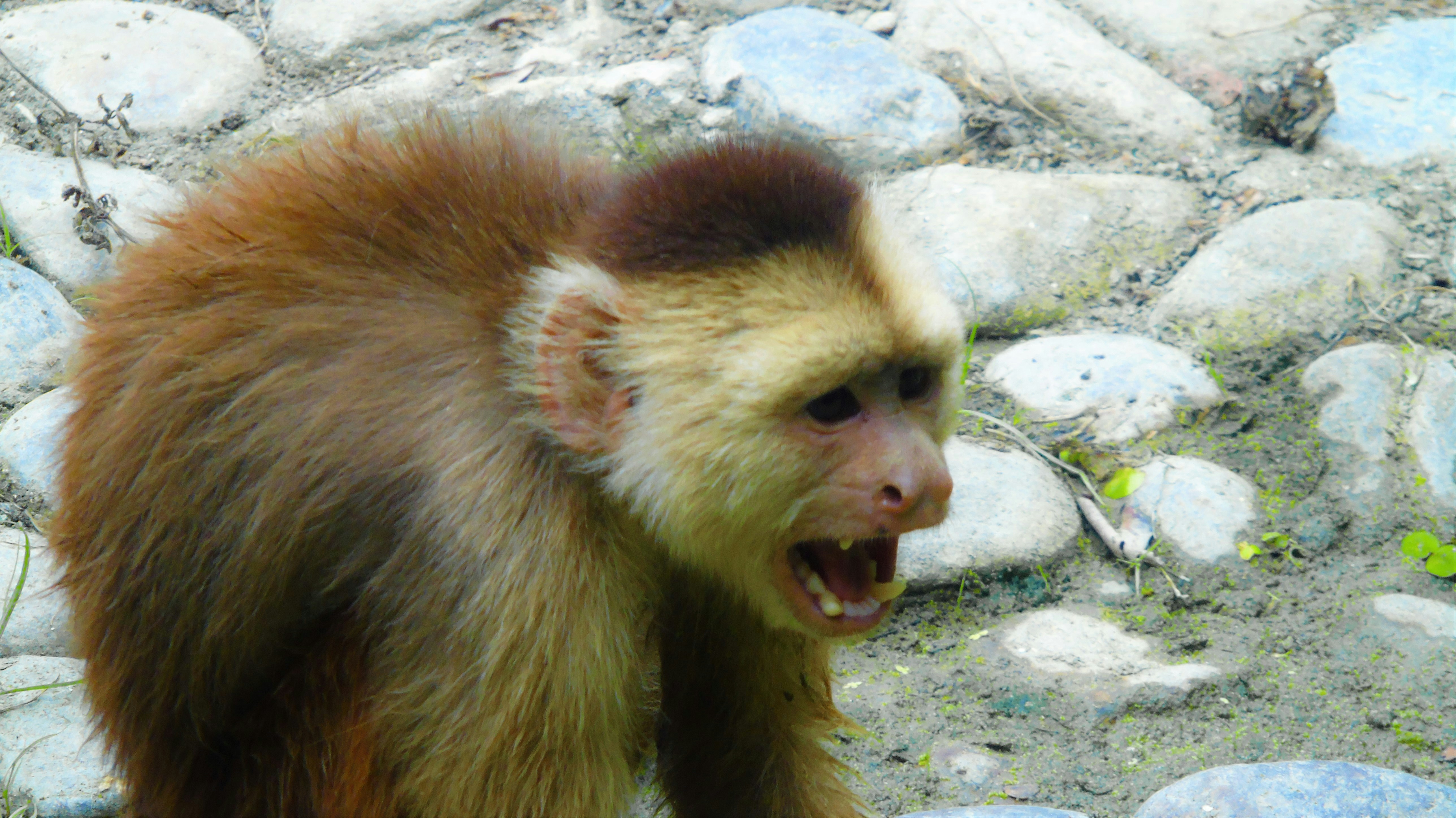 Free Unsplash photo from Camilo Salamanca Buitrago