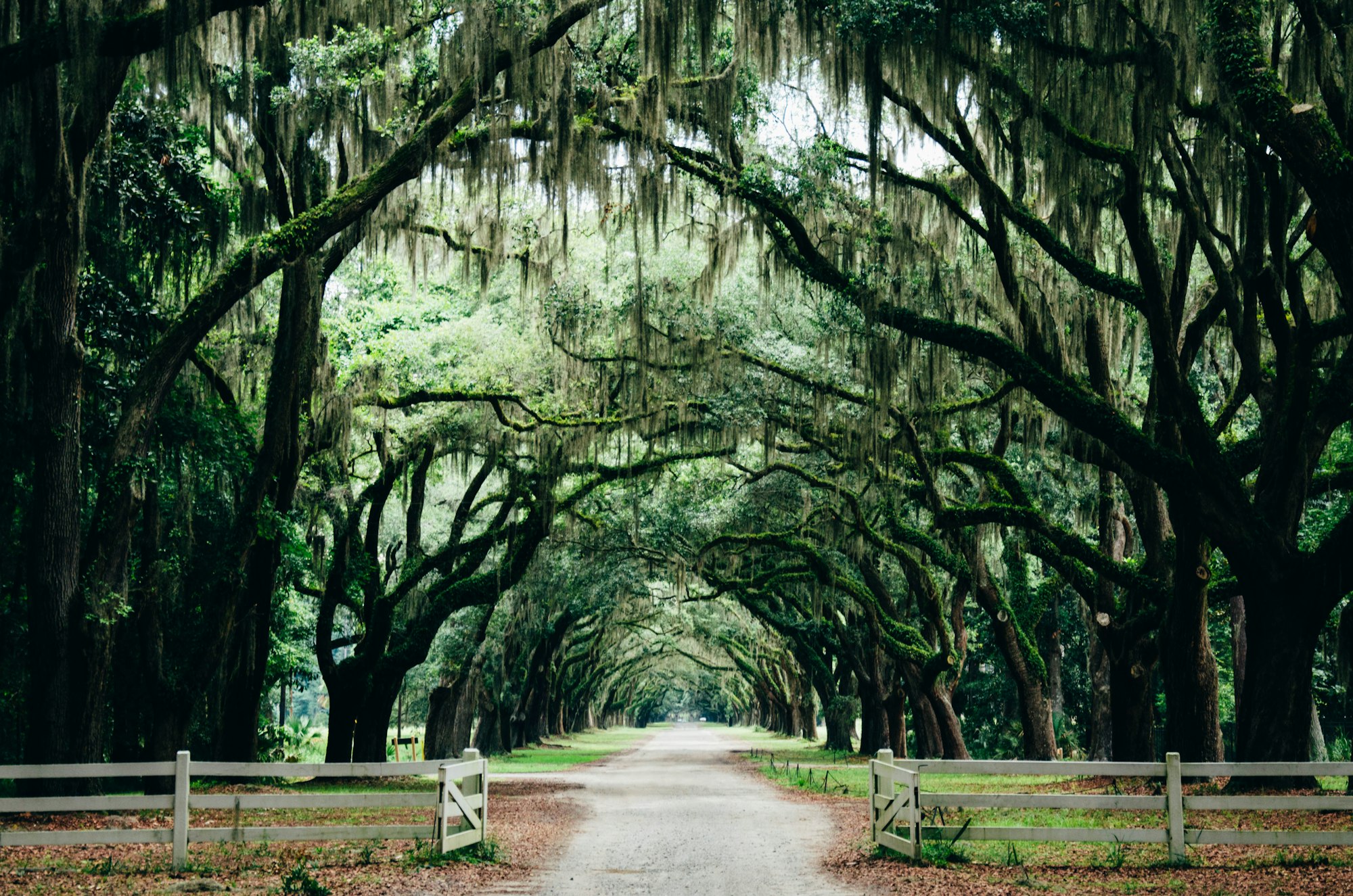 Georgia Was Originally Intended To Be A Colony For?