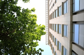 A perspective view from the ground looking upwards towards a modern building with multiple windows and a lush green tree canopy extending into the sky, creating a contrasting scene between nature and architecture.