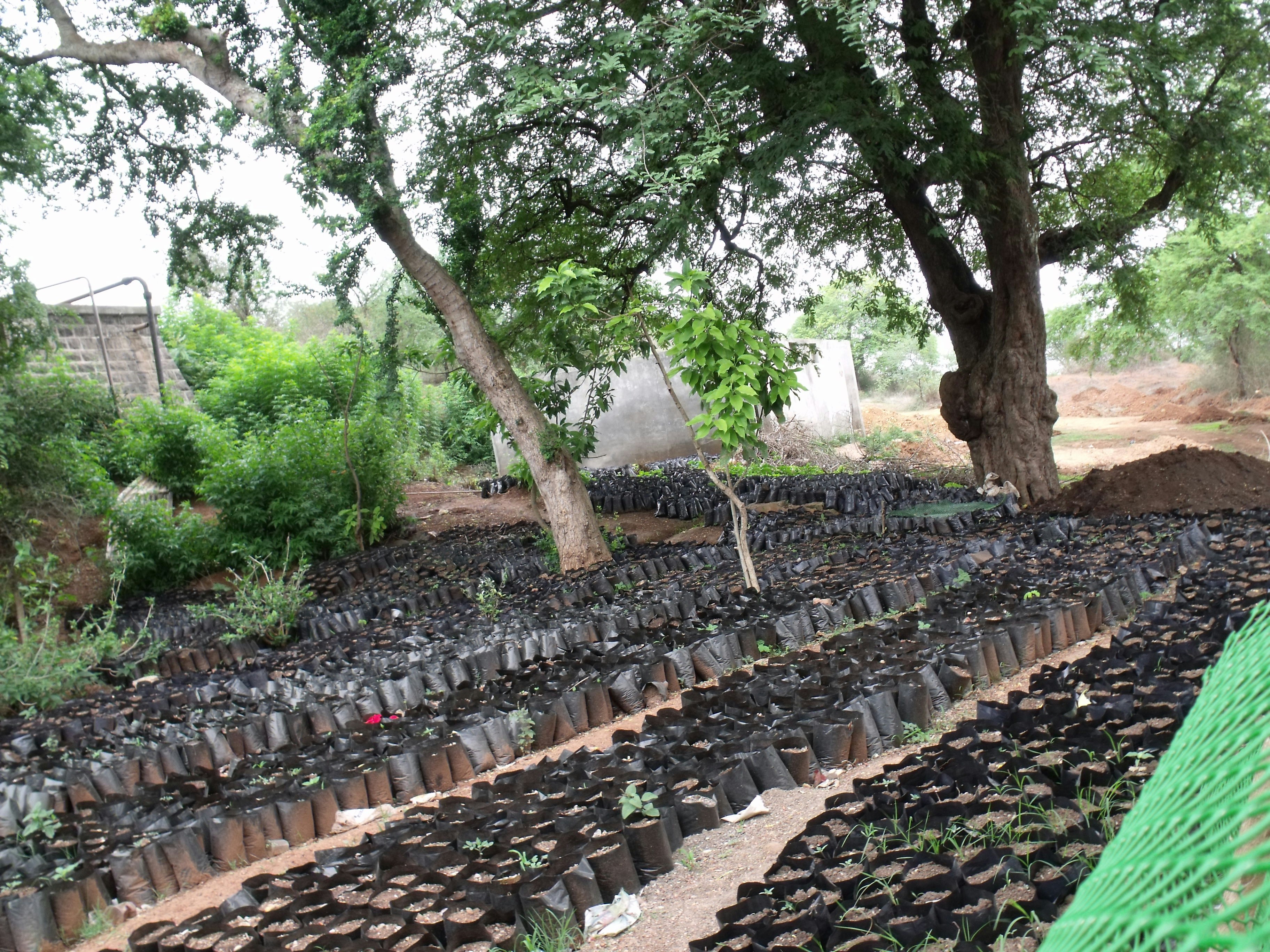 Free Unsplash photo from Anand Agarwal