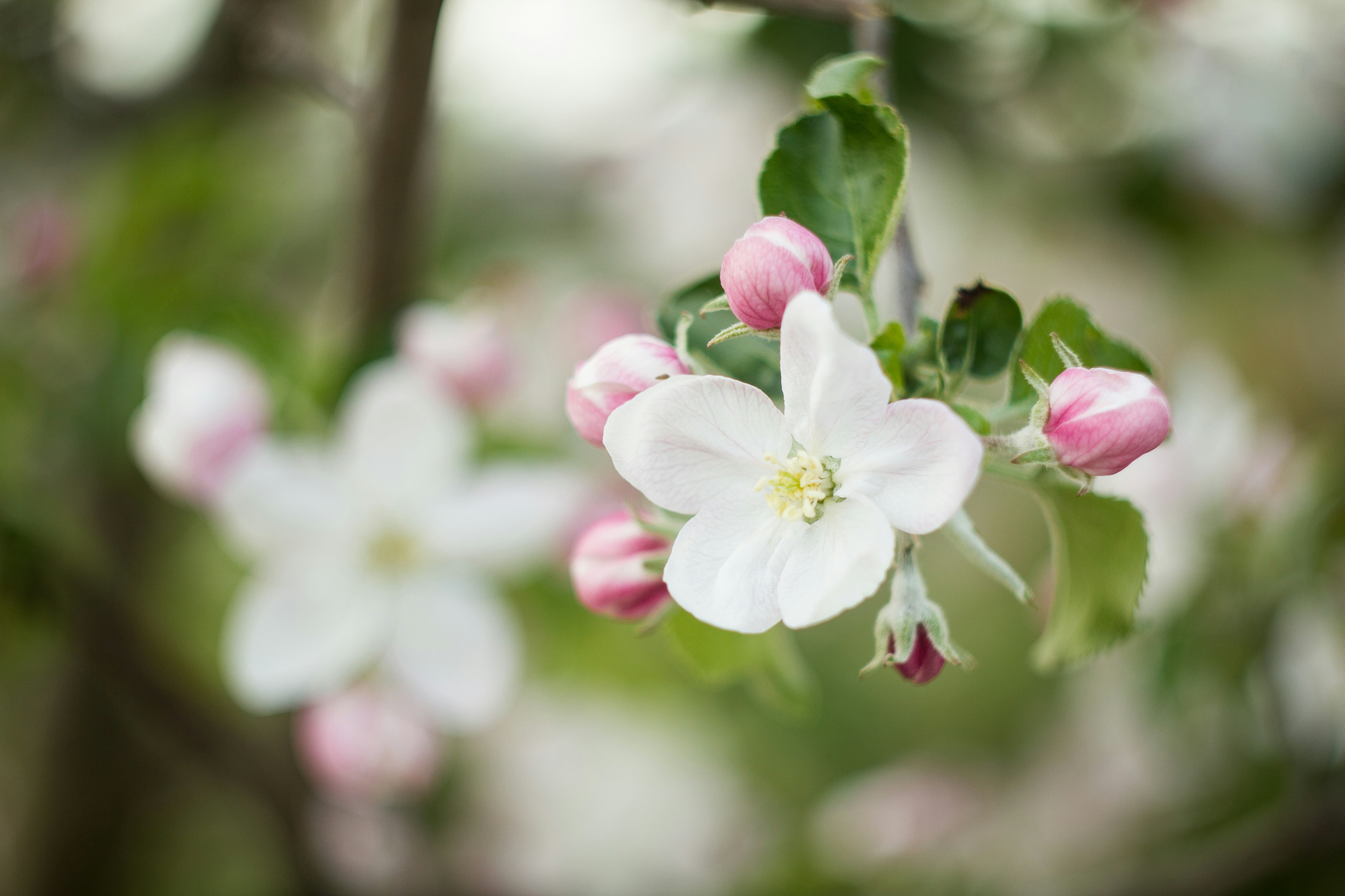 Free Unsplash photo from Jean Lakosnyk