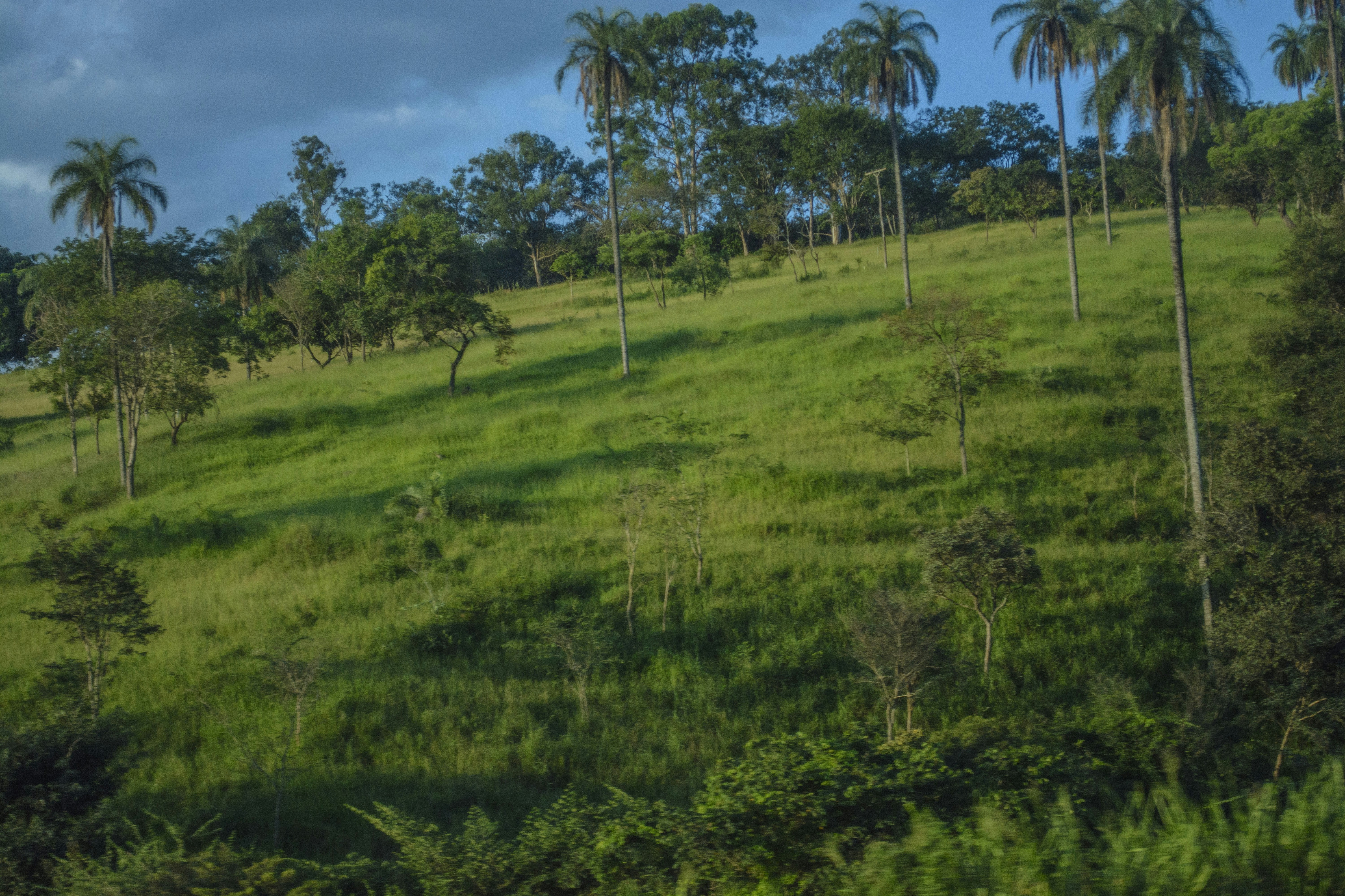 Free Unsplash photo from André Delfino