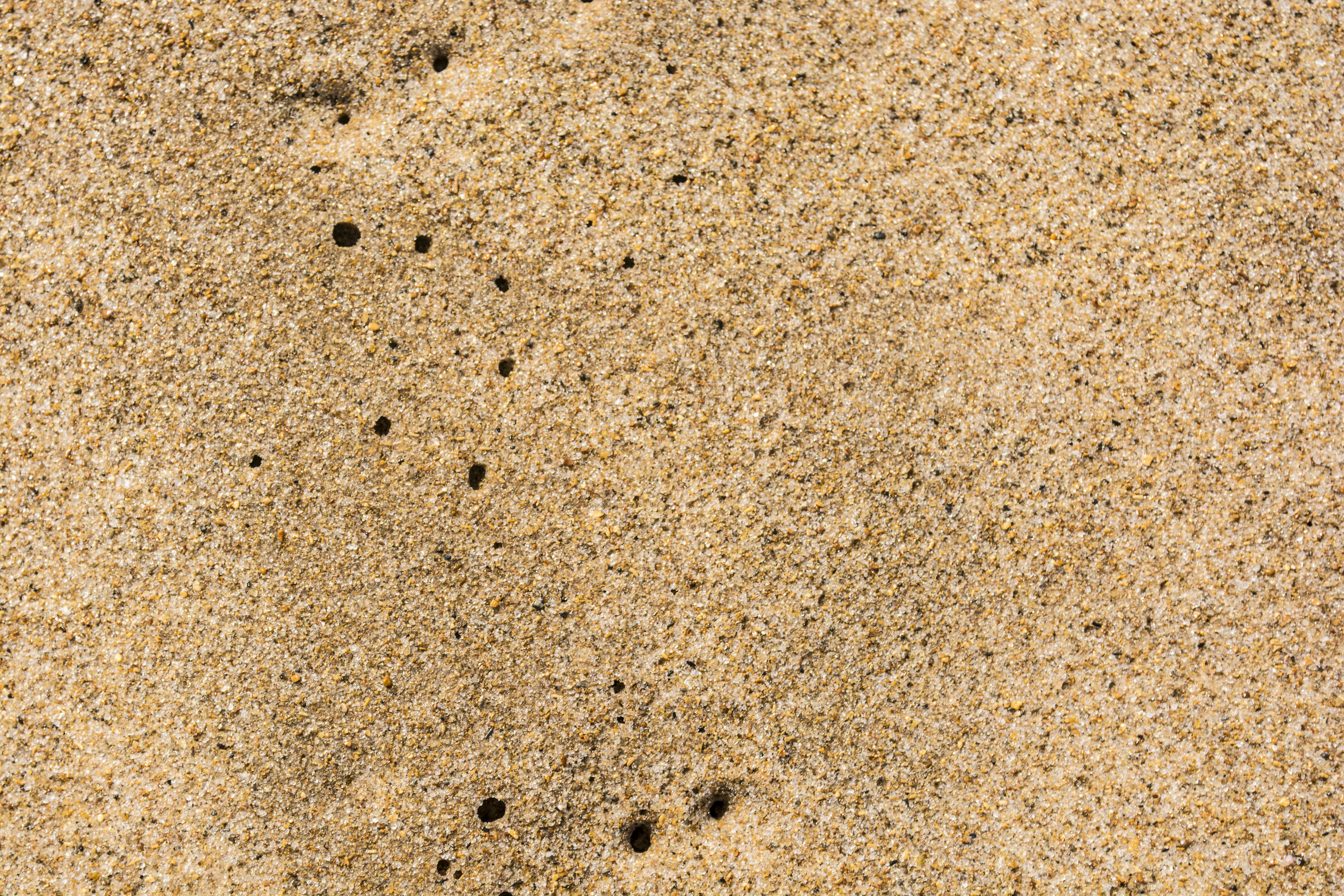 Free Unsplash photo from André Delfino