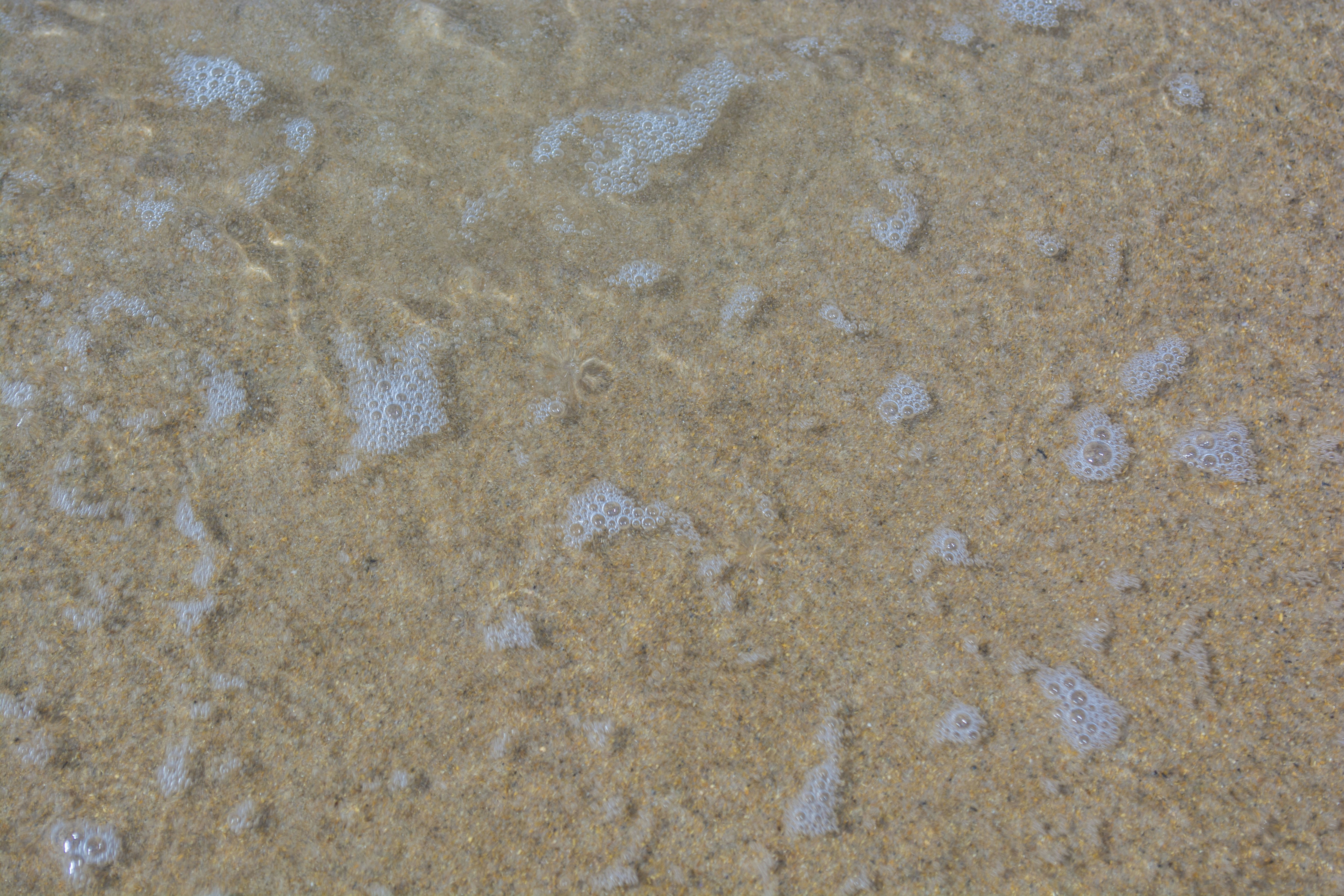 Free Unsplash photo from André Delfino