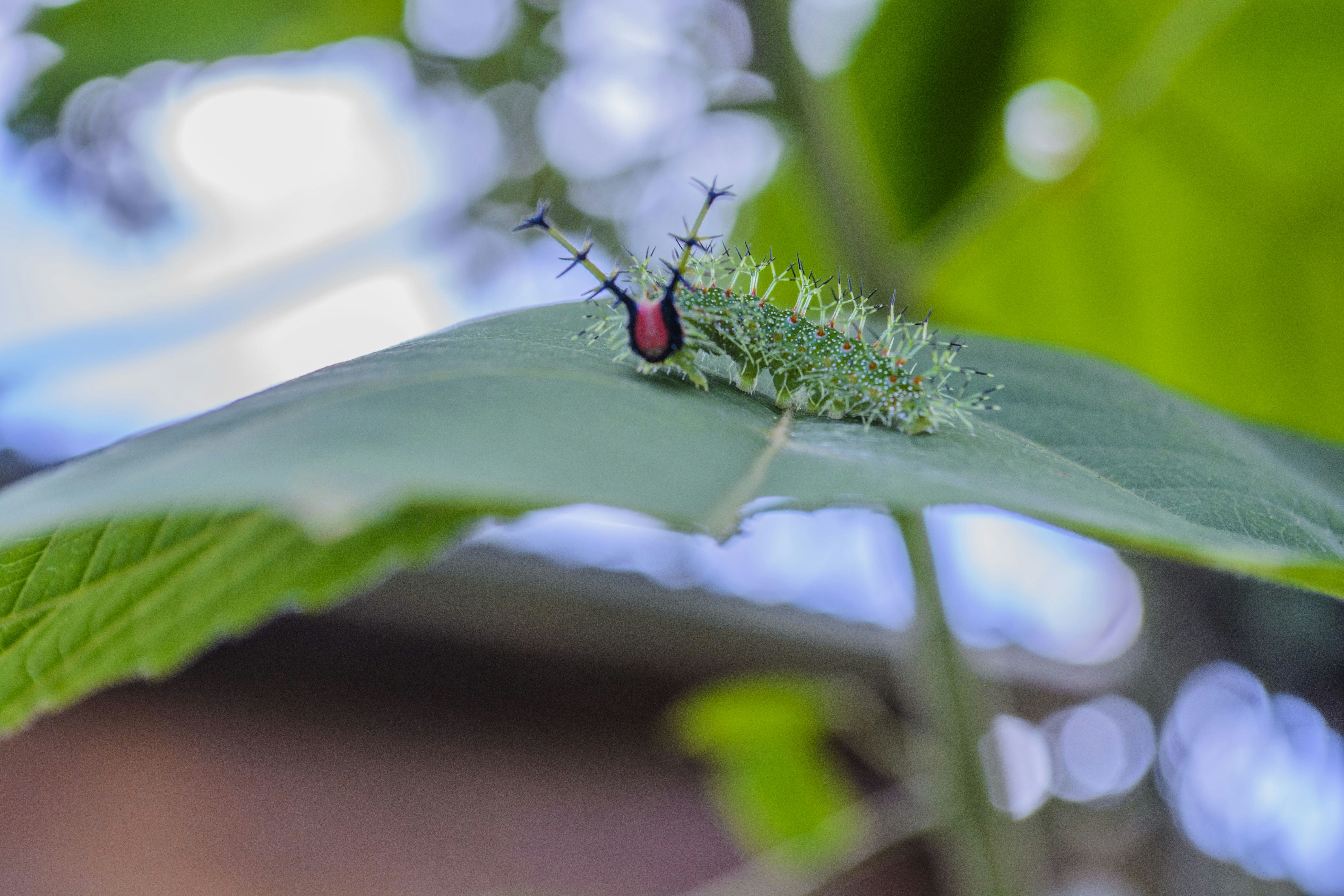 Free Unsplash photo from André Delfino