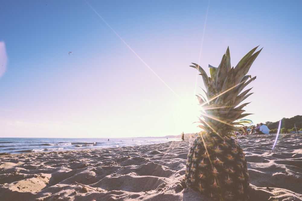日中のビーチのパイナップル