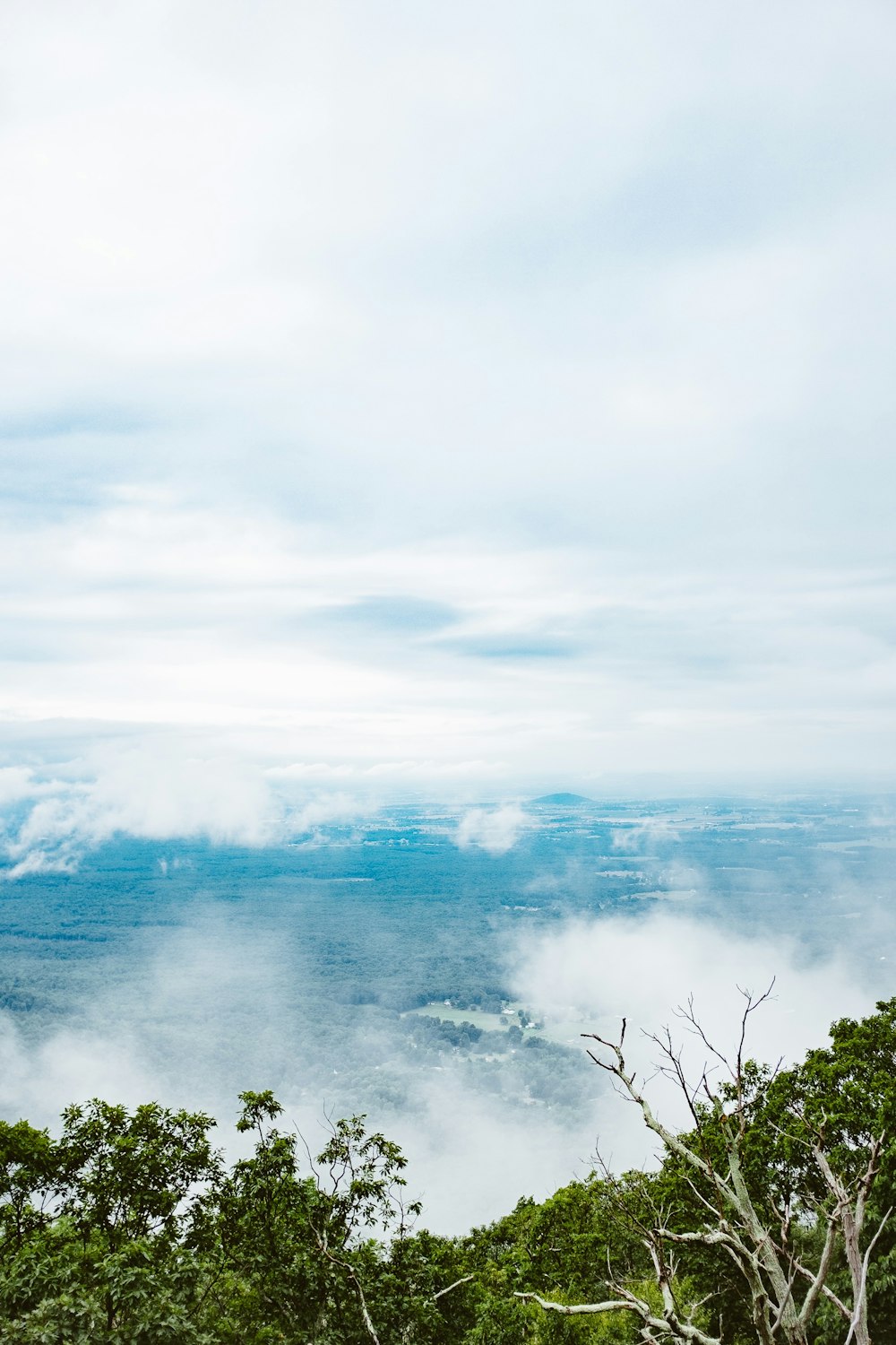 green trees near blue ocean water under white clouds during daytime