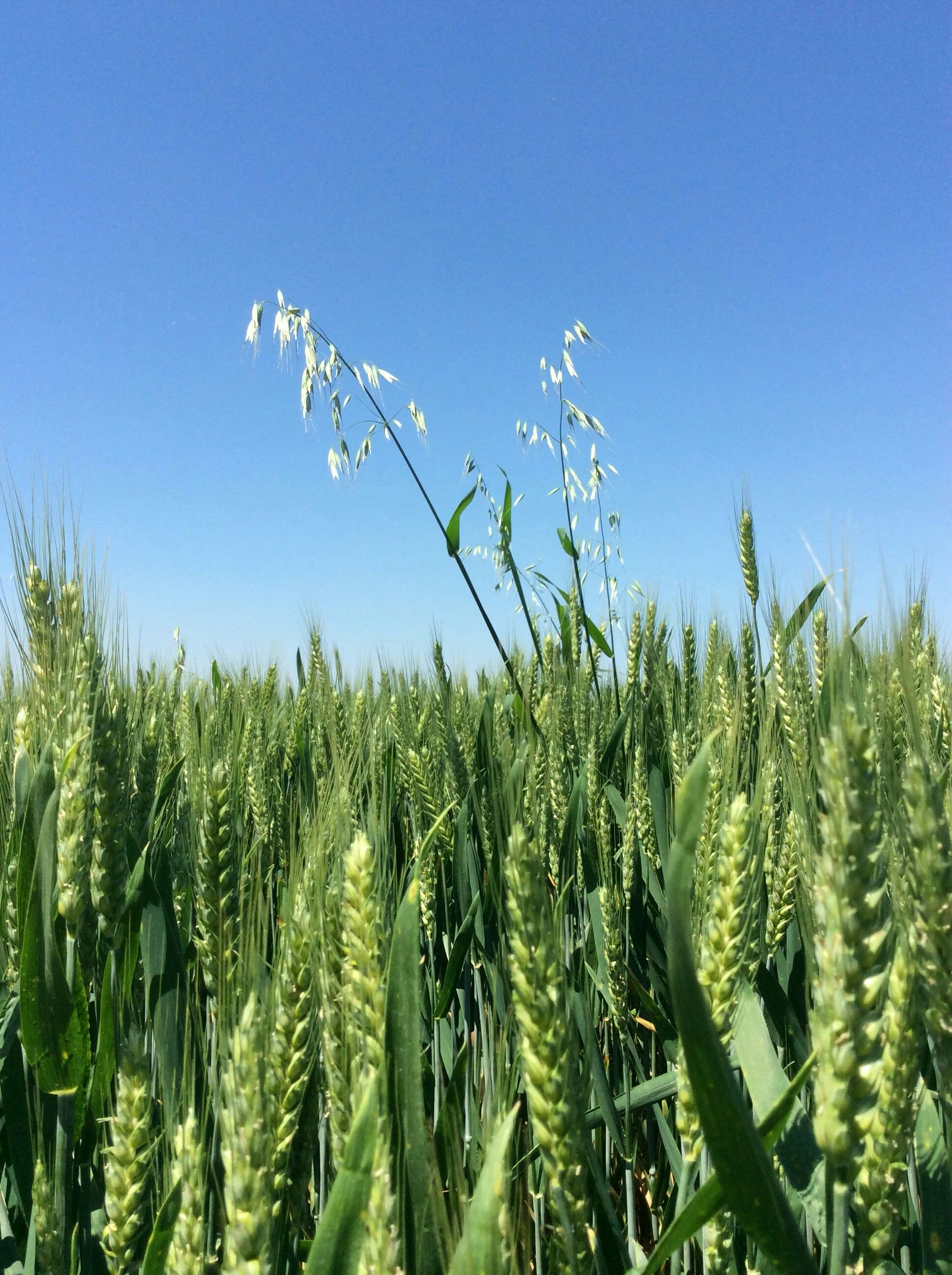 Free Unsplash photo from Sally Yi