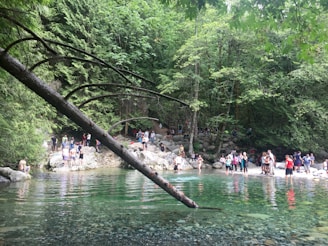 A clean water source surrounded by greenery and people gathering around it.