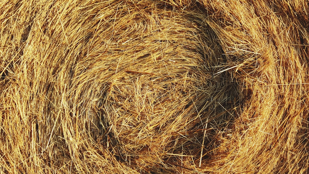 closeup photo of hay bale