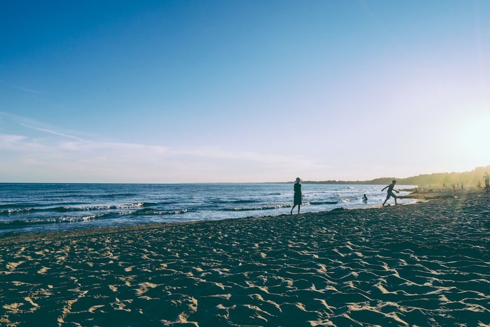 two person walking on seashore during daytime