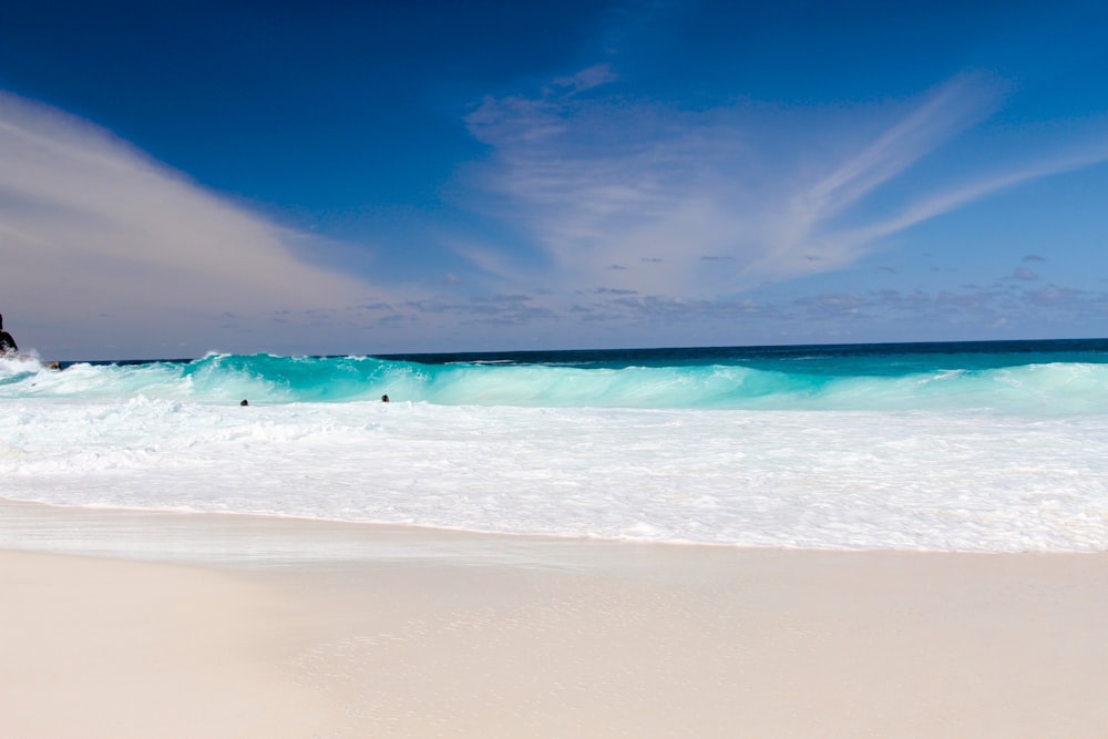 seashore during daytime