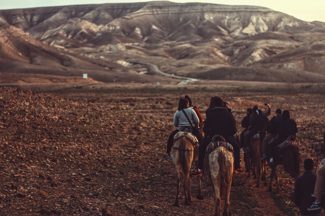 photo of Negev Trail riding near The Negev Mountain Reserve