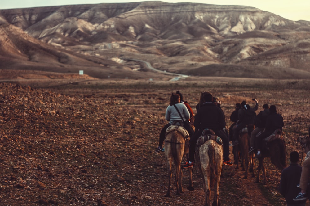 woman riding horse during daytime