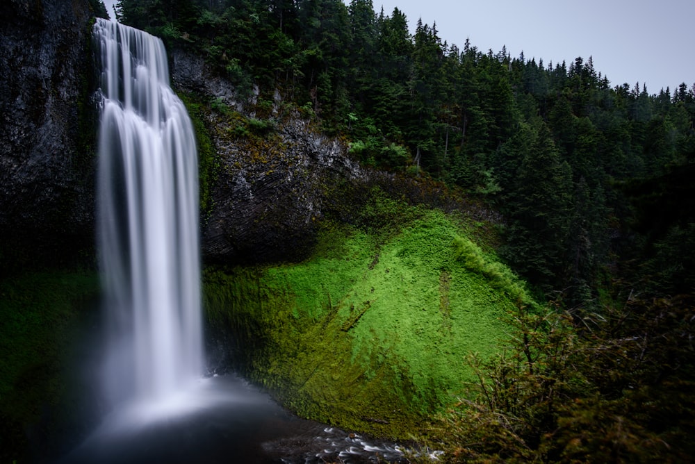 waterfalls near trees during daytime