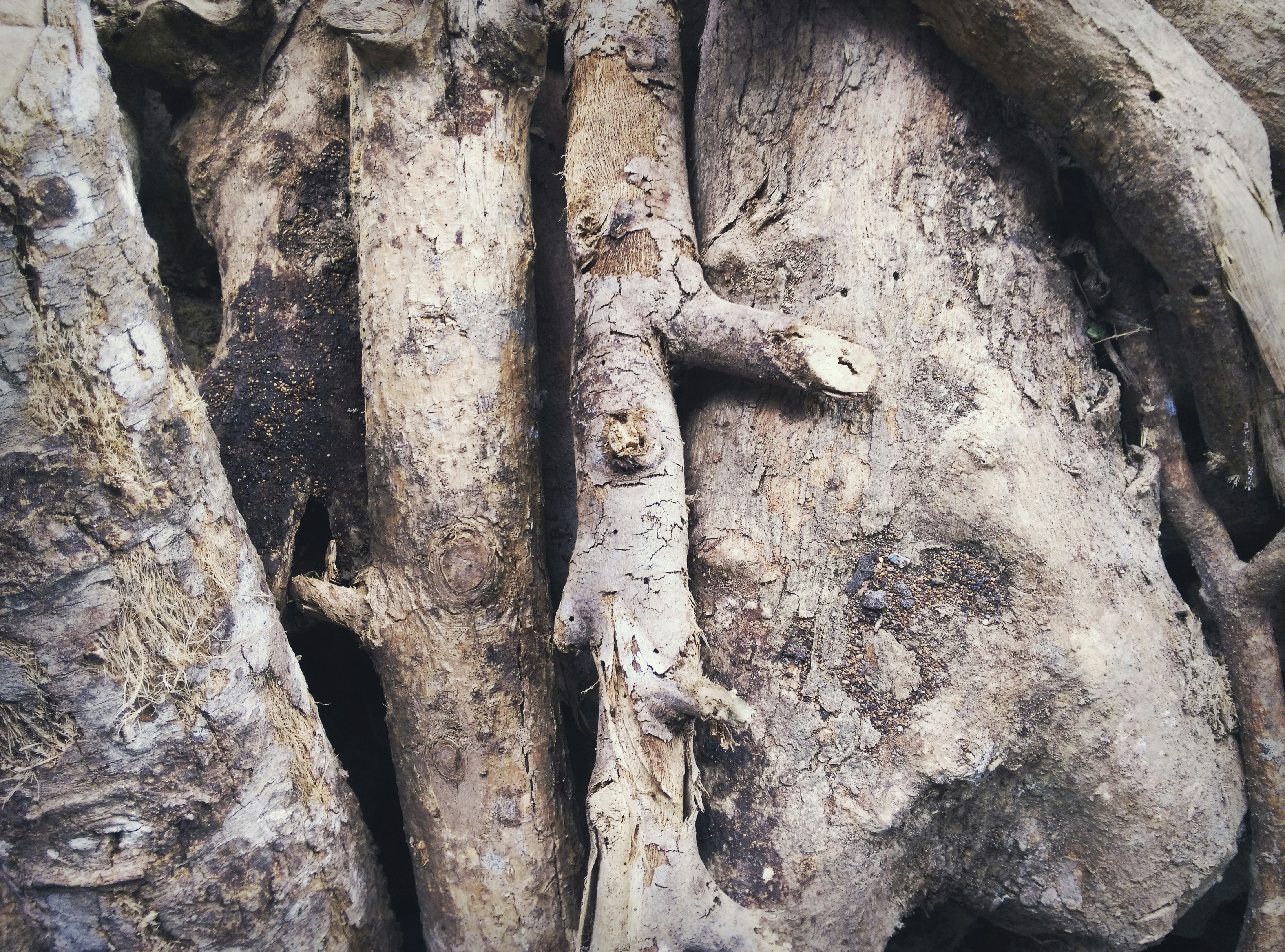 Free Unsplash photo from Maricar Limjoco