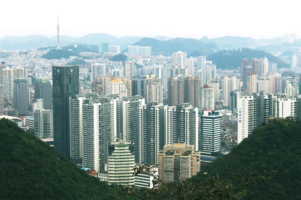 birds eye photography of city building