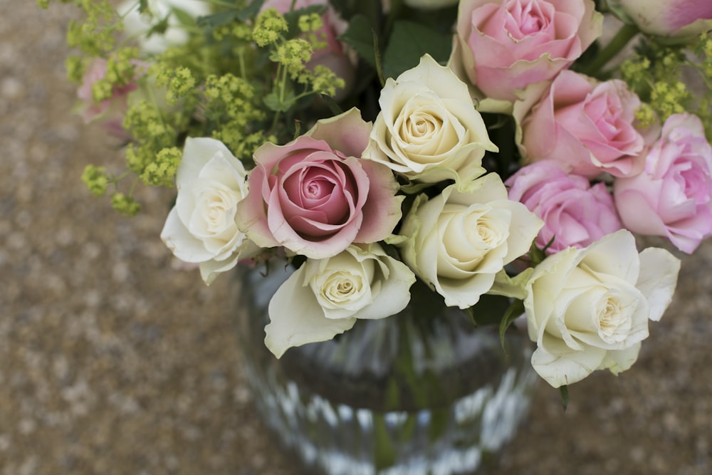 fleur aux pétales roses et jaunes